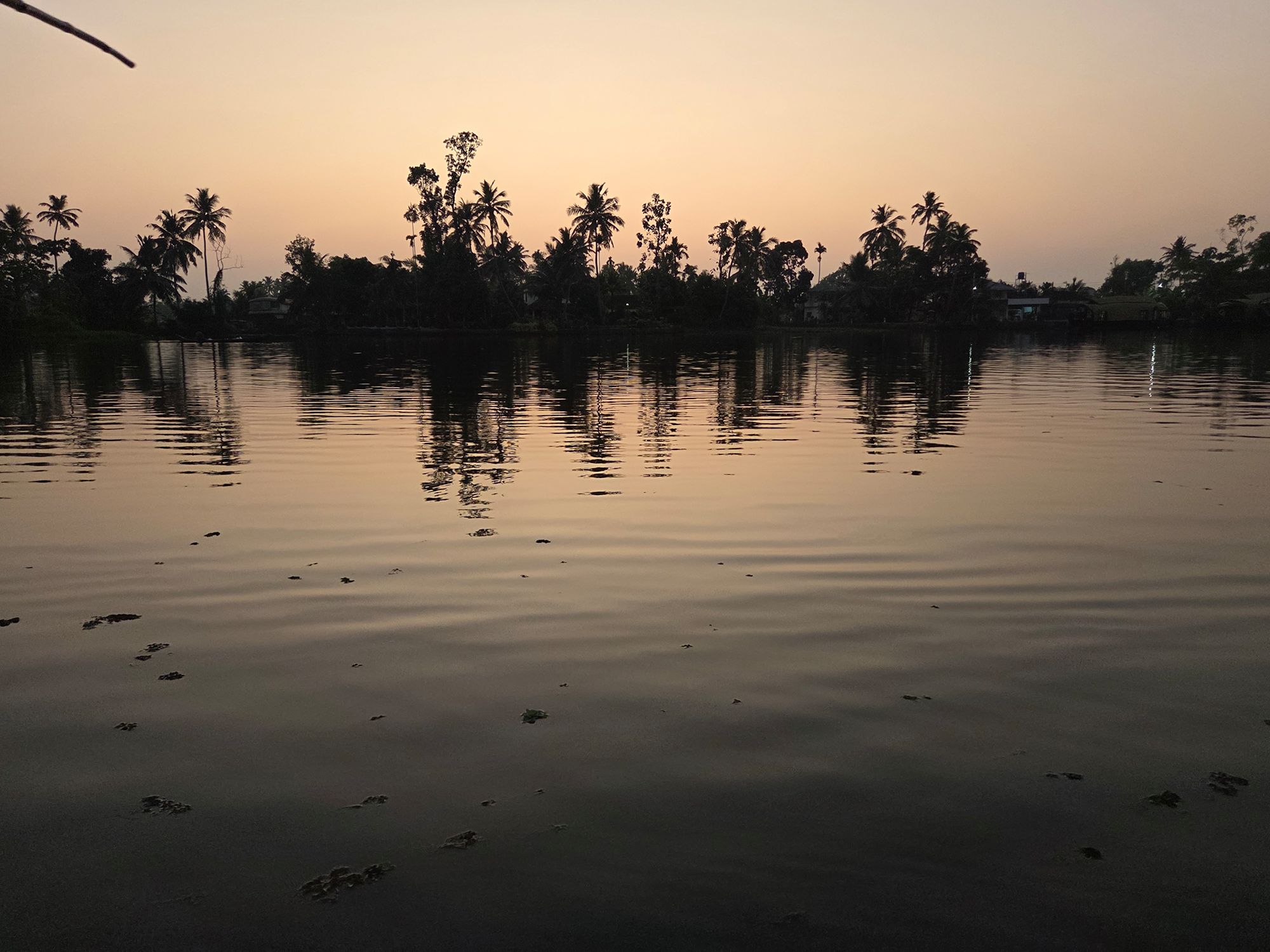 Kerala Backwaters (46)