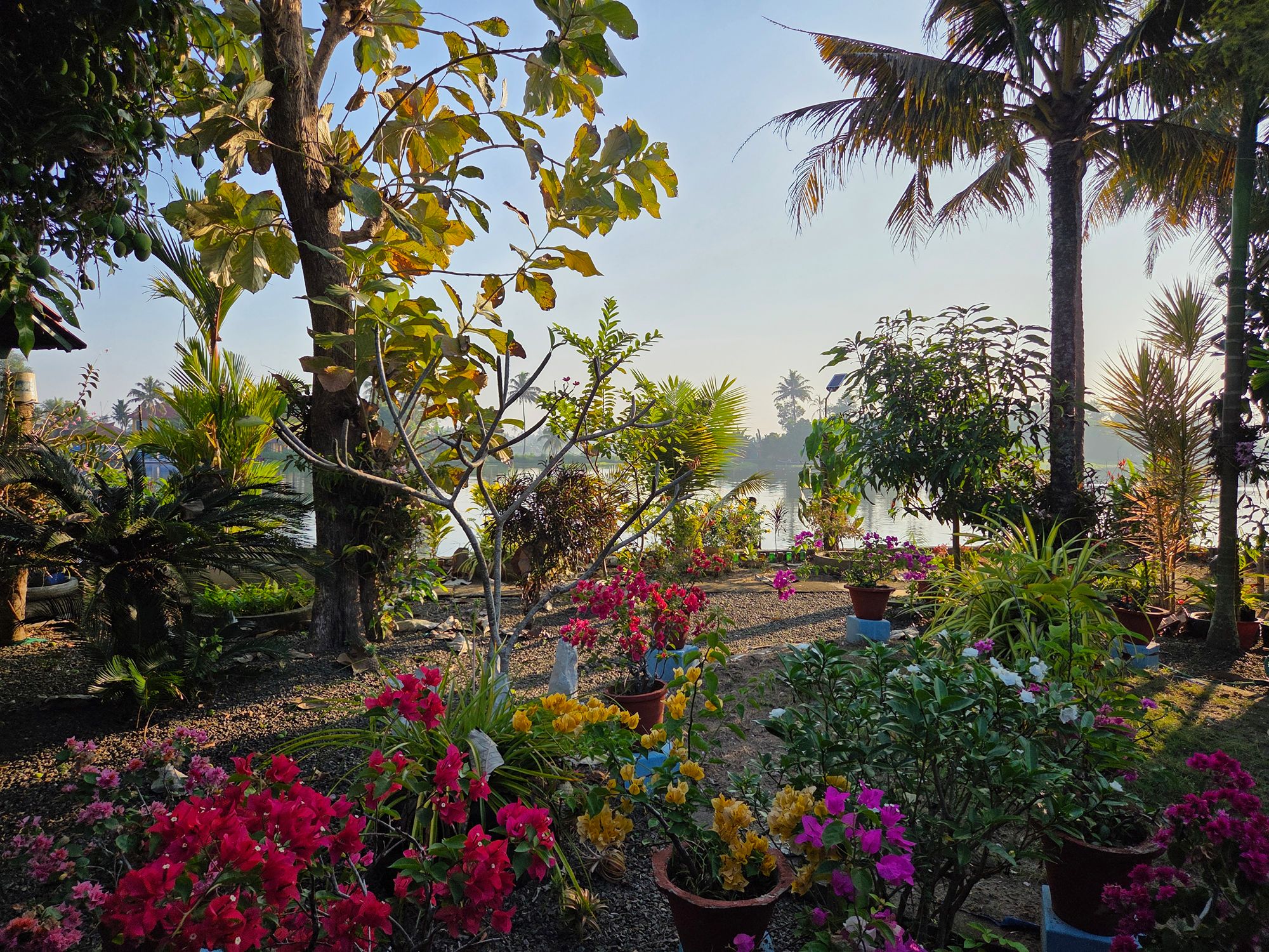 Kerala Backwaters (47)