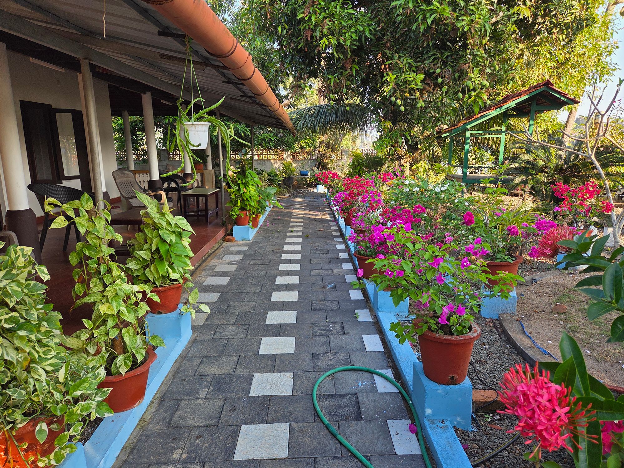 Kerala Backwaters (49)