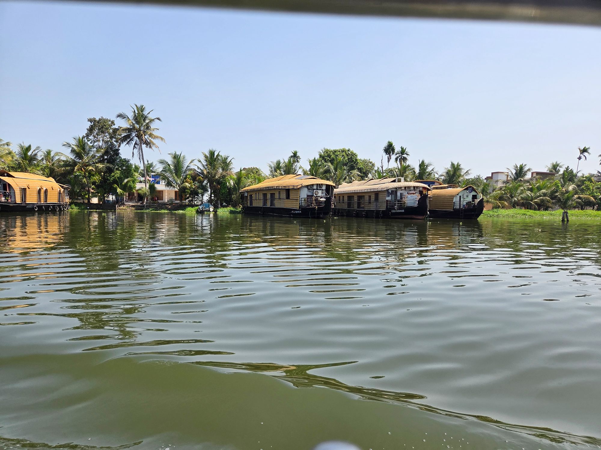 Kerala Backwaters (5)