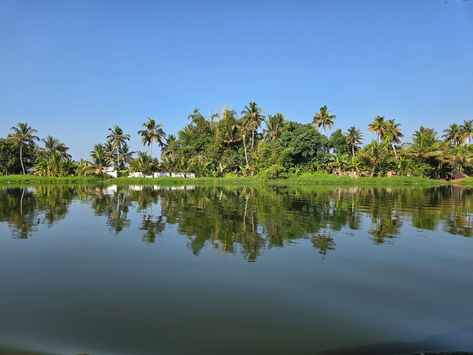 Kerala Backwaters (53)