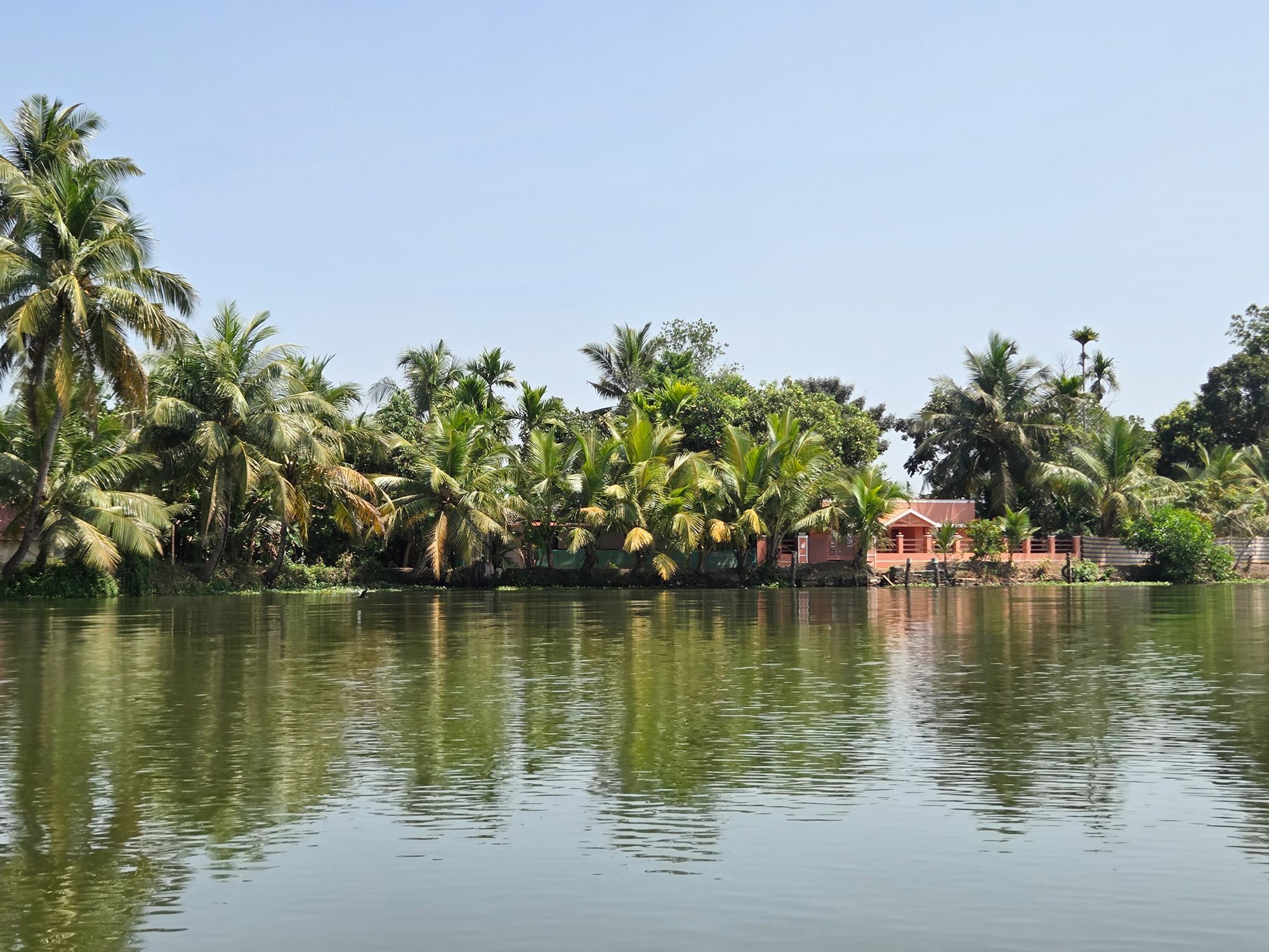 Kerala Backwaters (6)