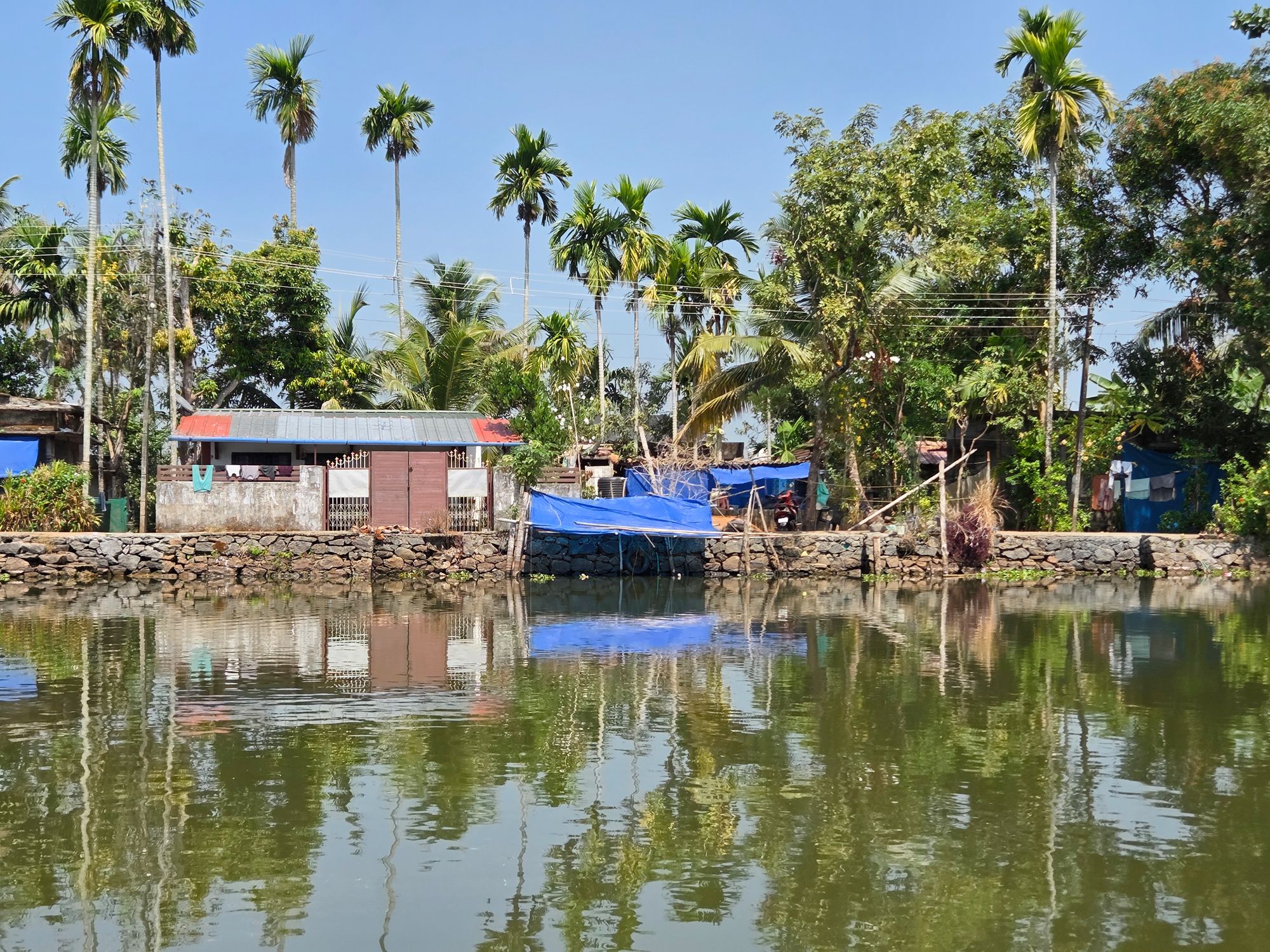 Kerala Backwaters (8)