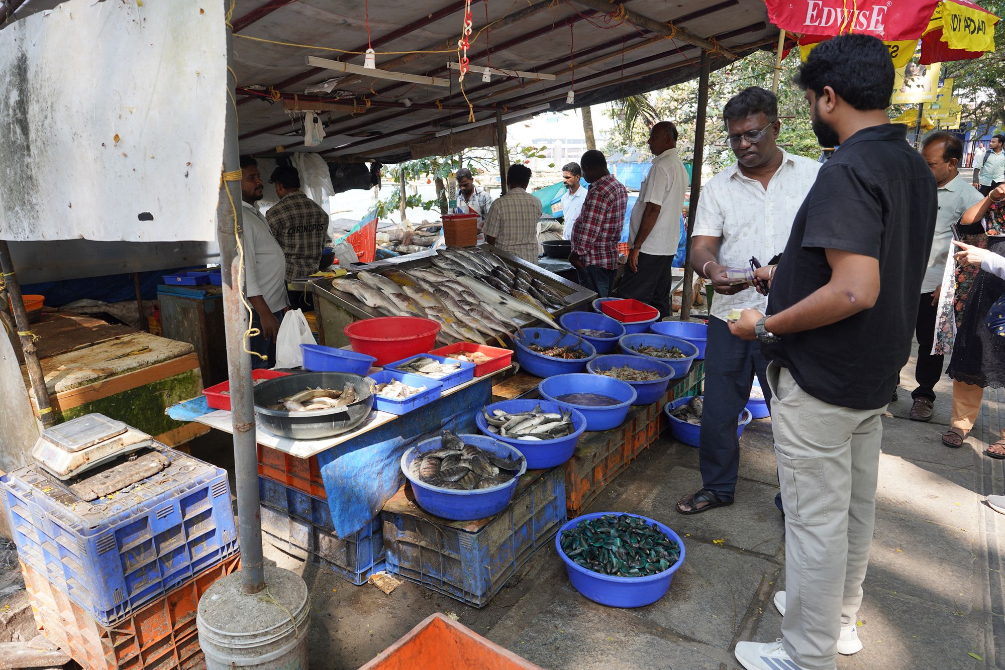 Kochi Second Visit (134) Kochi Second Visit (134)