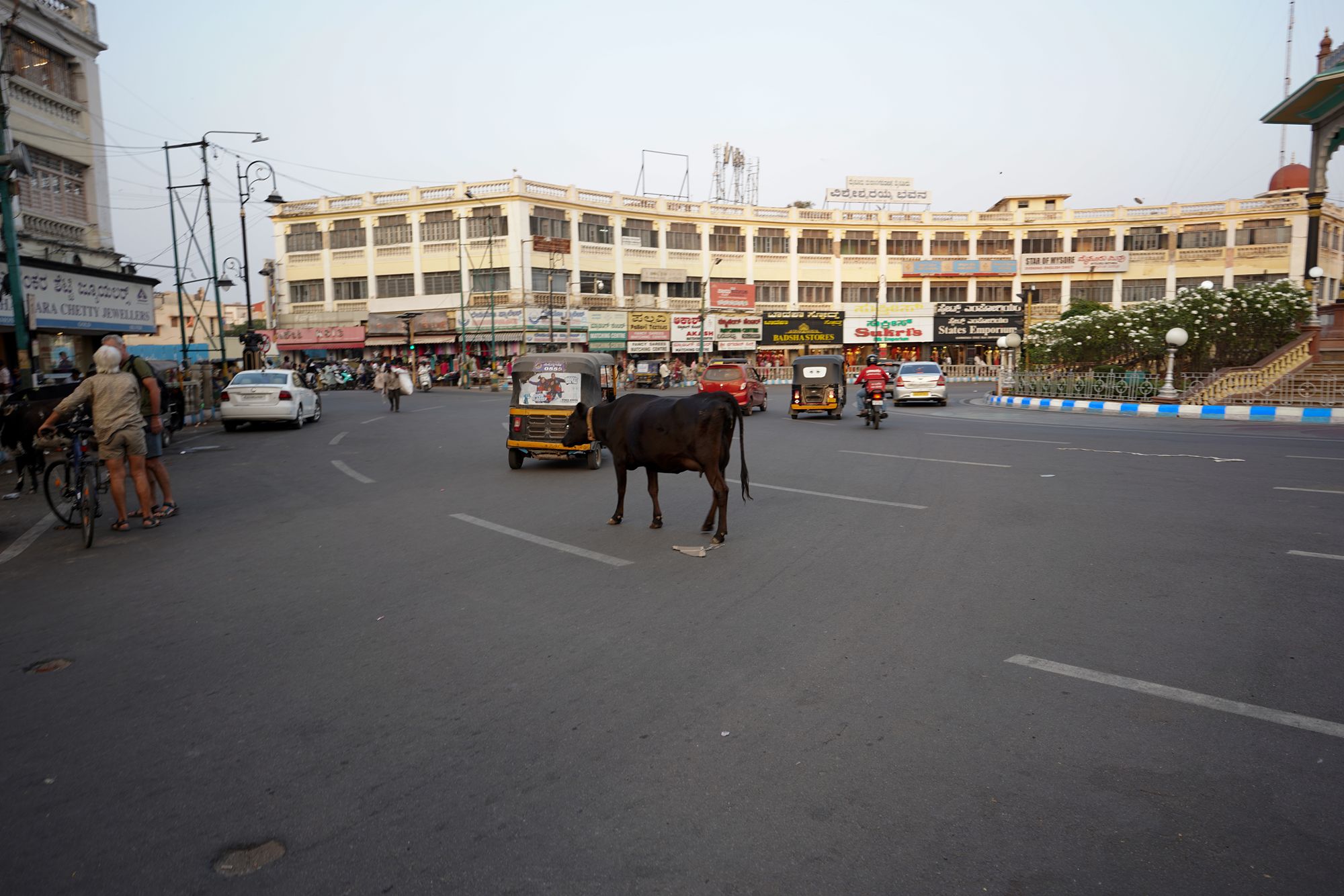Mysore Market (16)