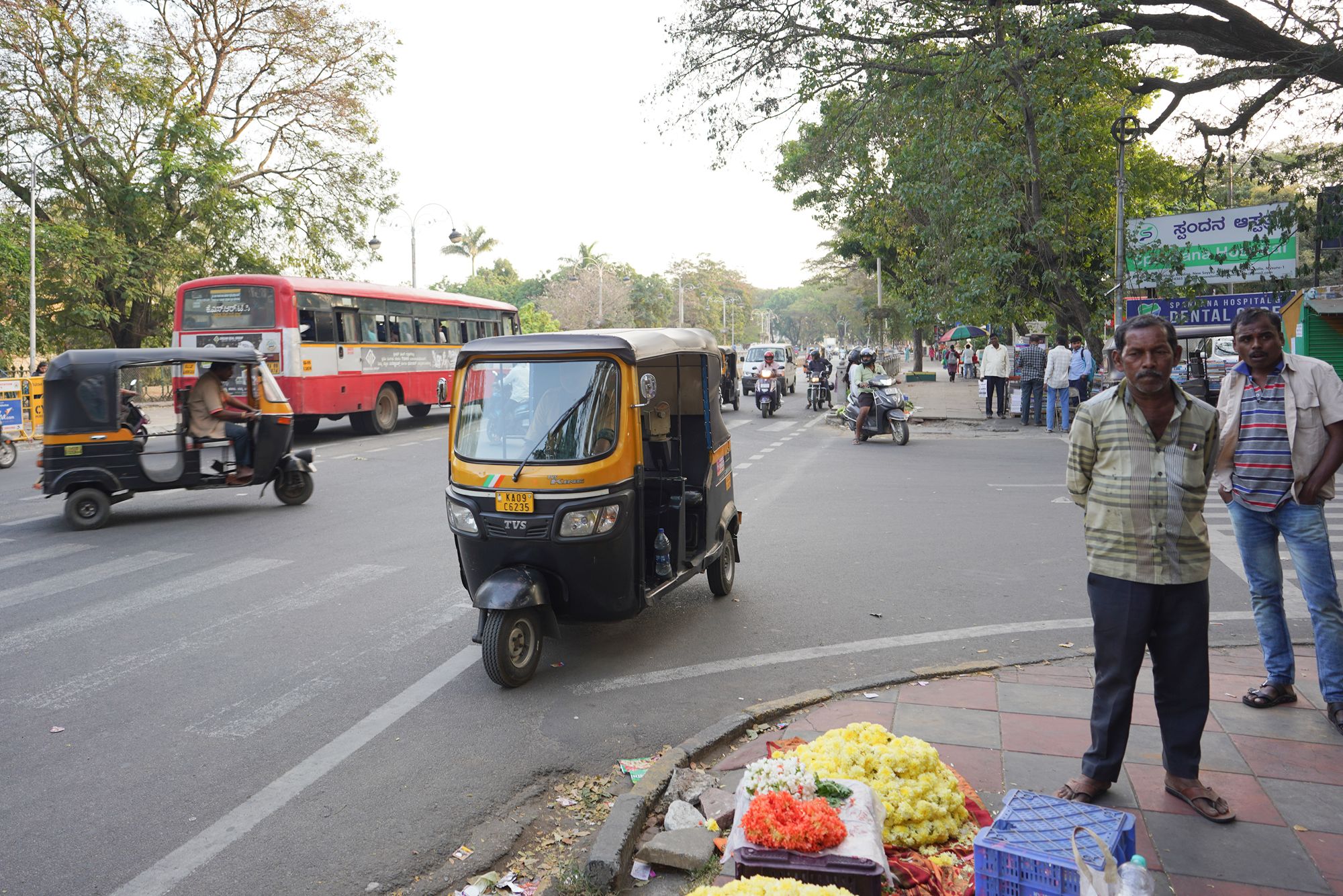 Mysore Market (2)