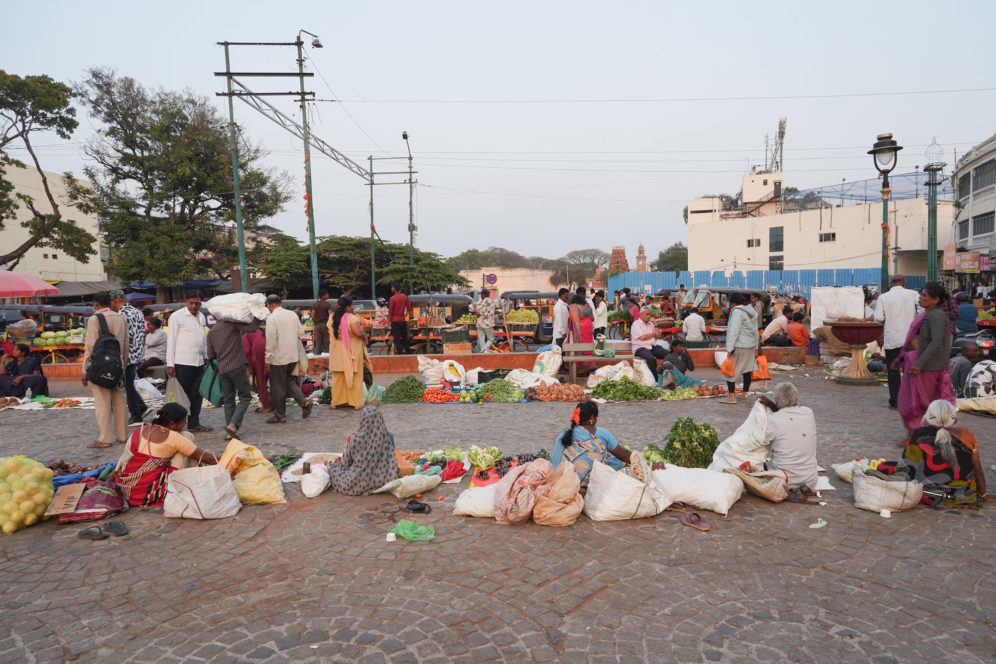 Mysore Market (28)