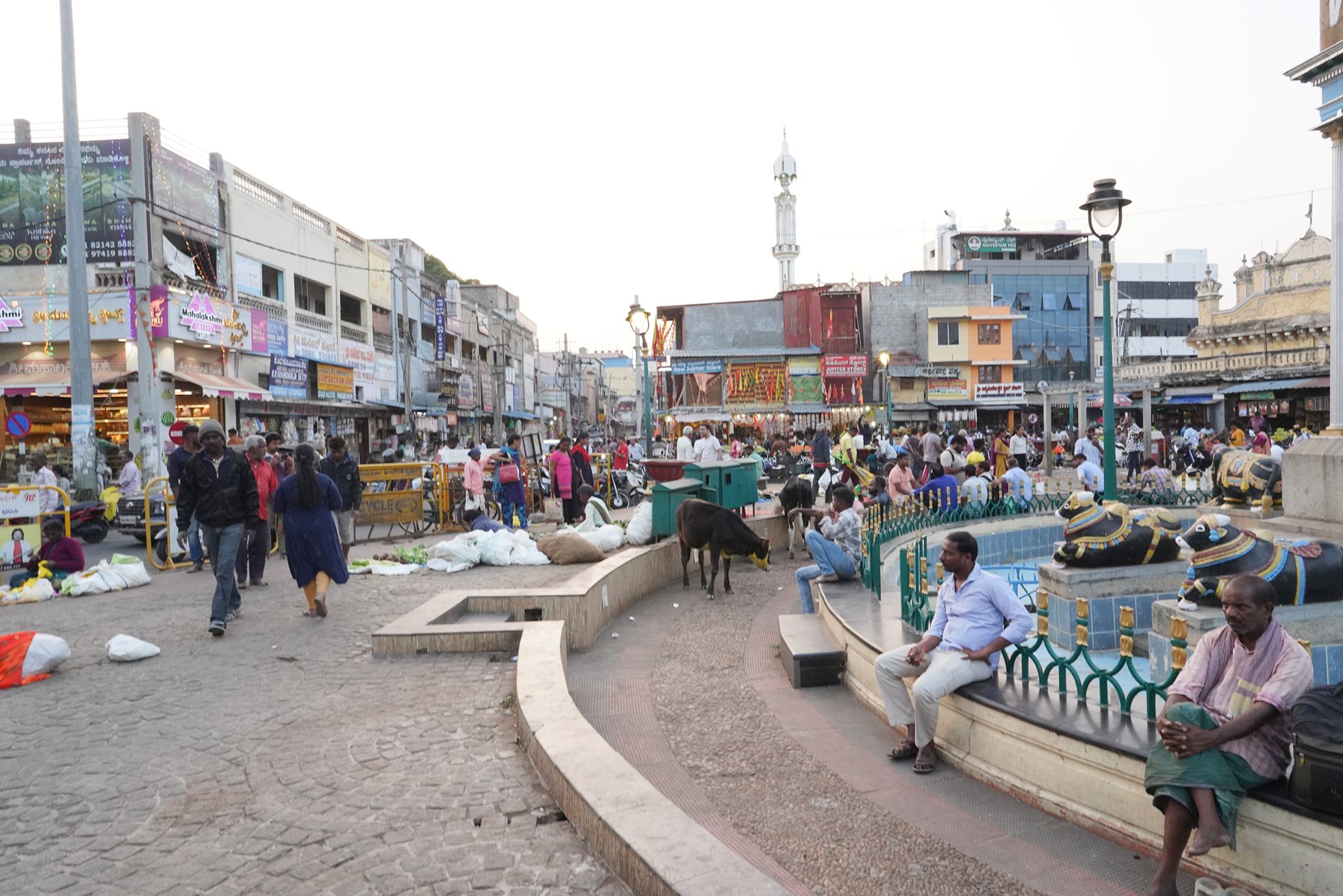 Mysore Market (30)