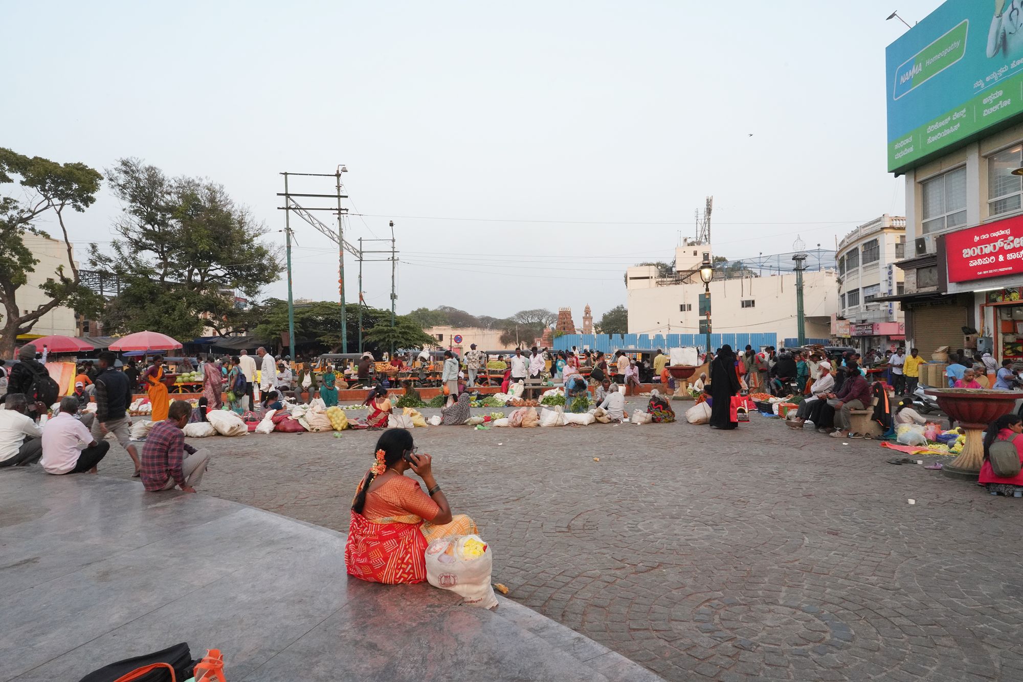 Mysore Market (34)