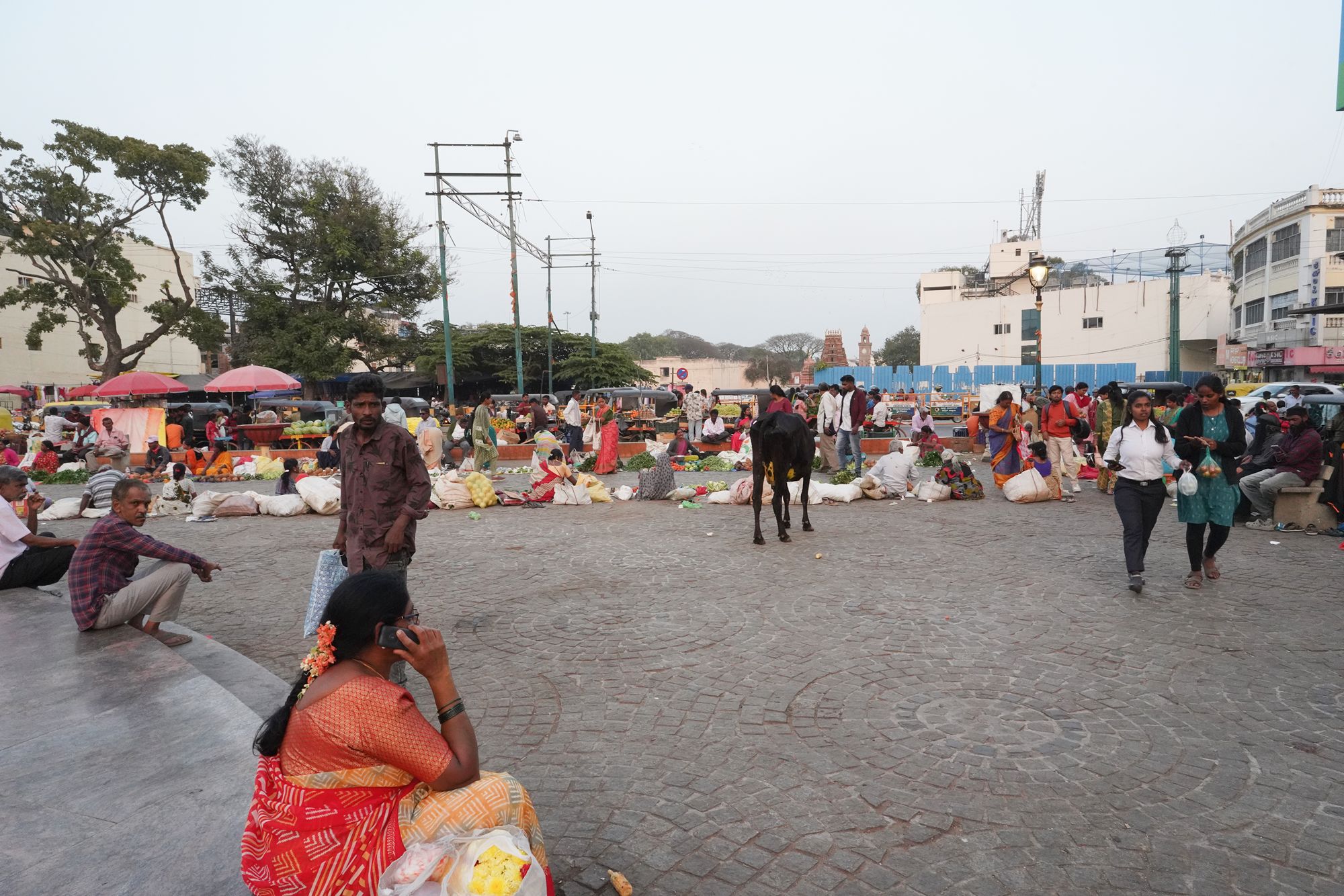Mysore Market (43)