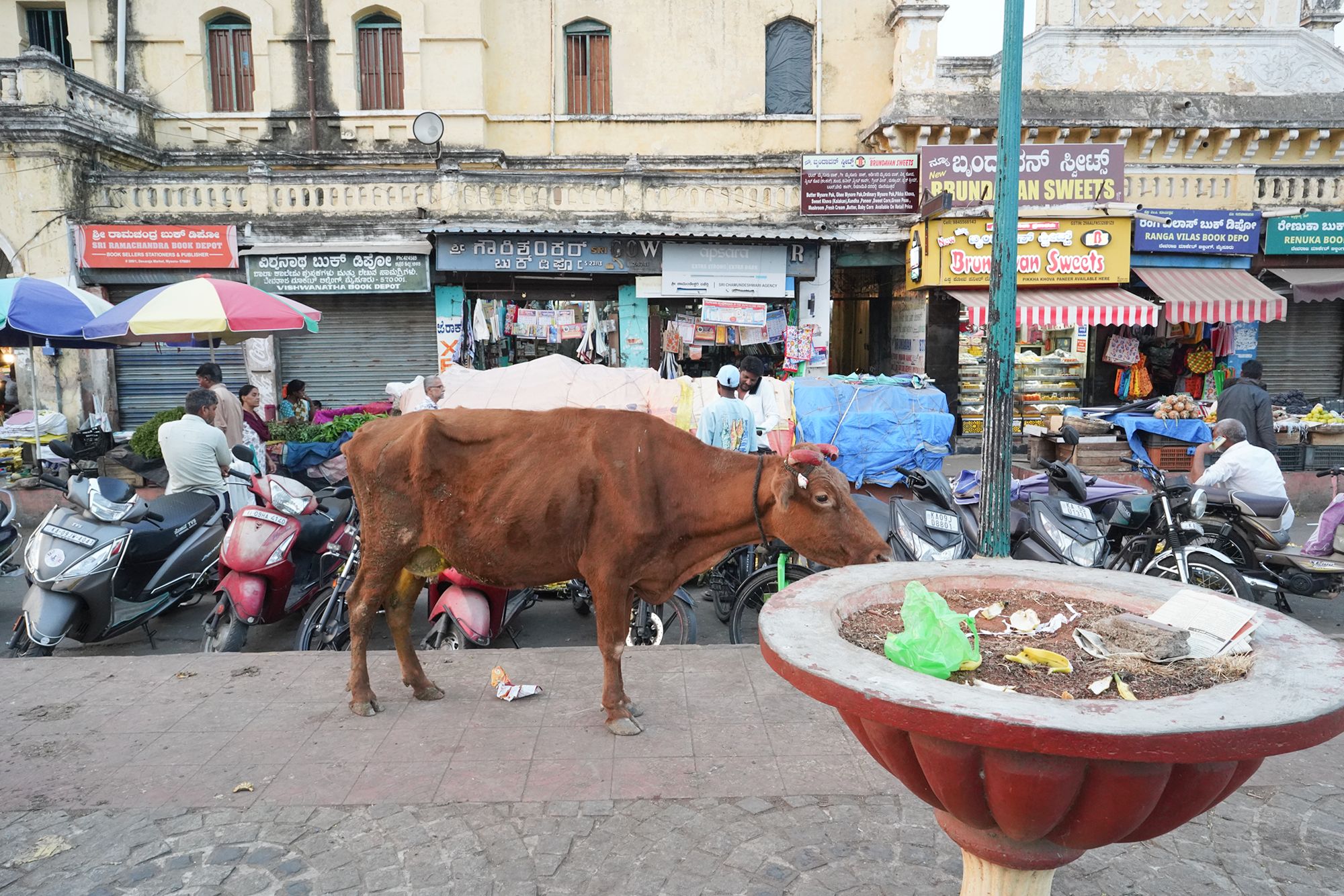 Mysore Market (45)