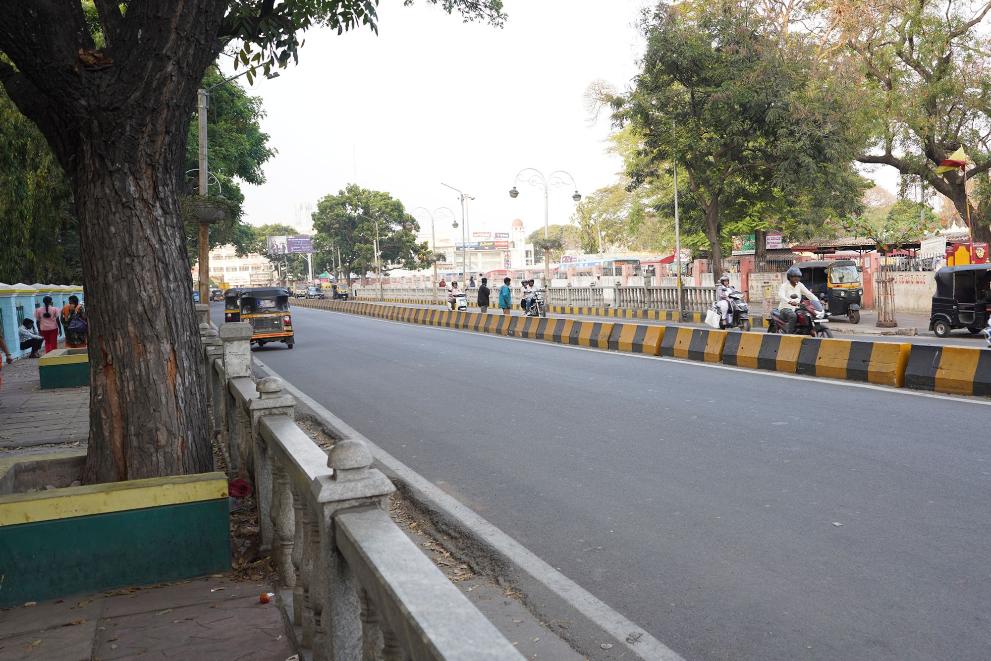 Mysore Market (5)