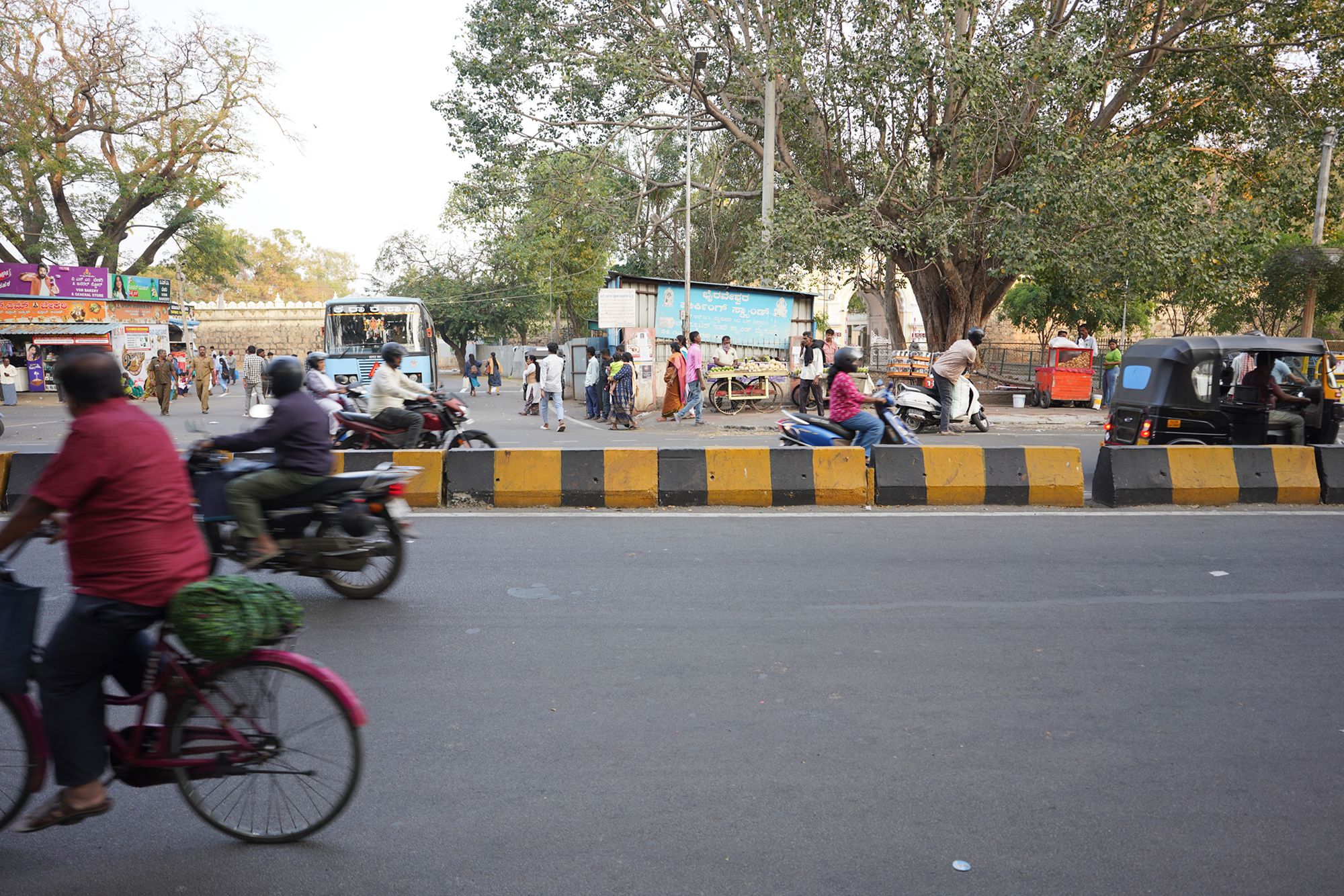 Mysore Market (6)