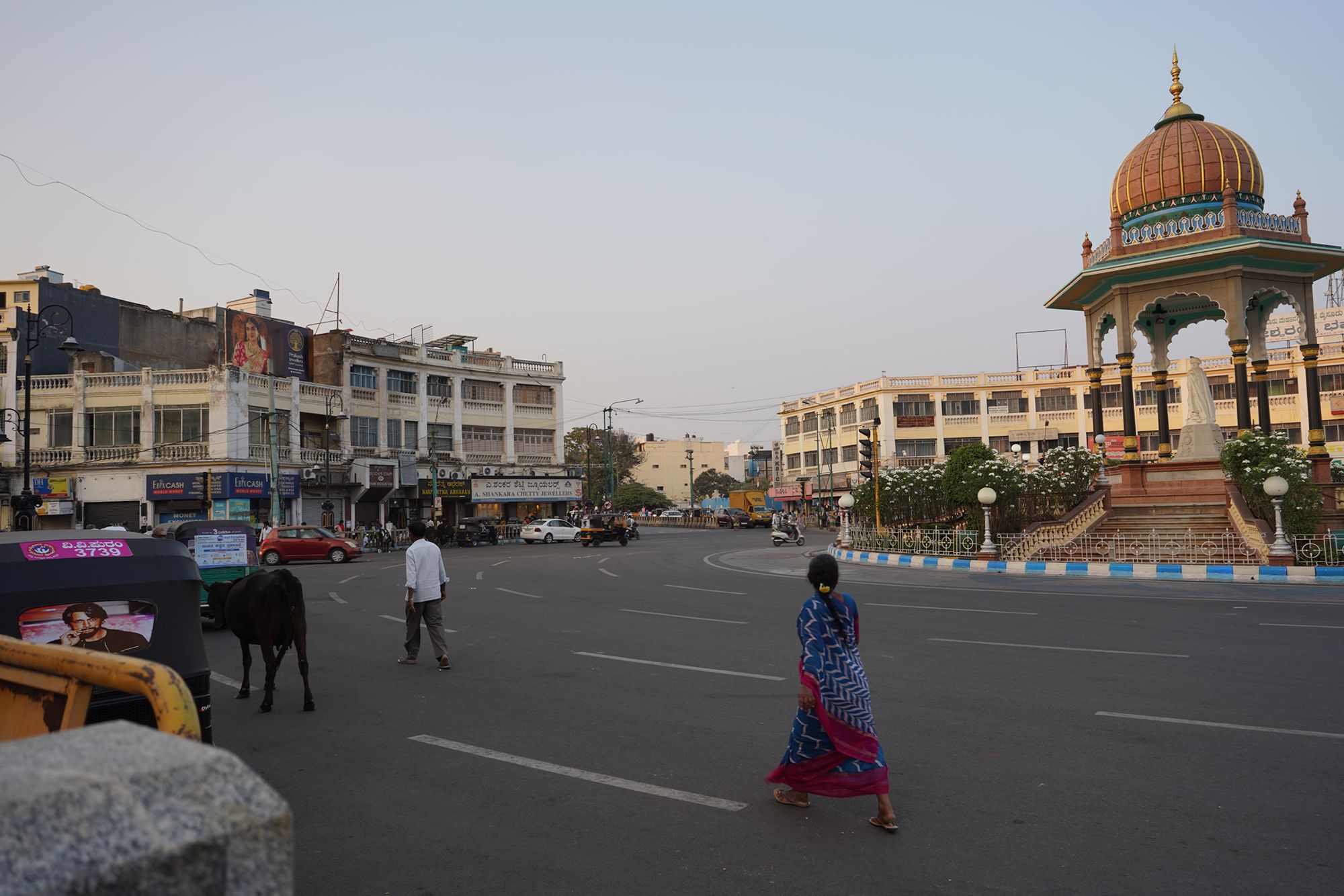 Mysore Market (9)