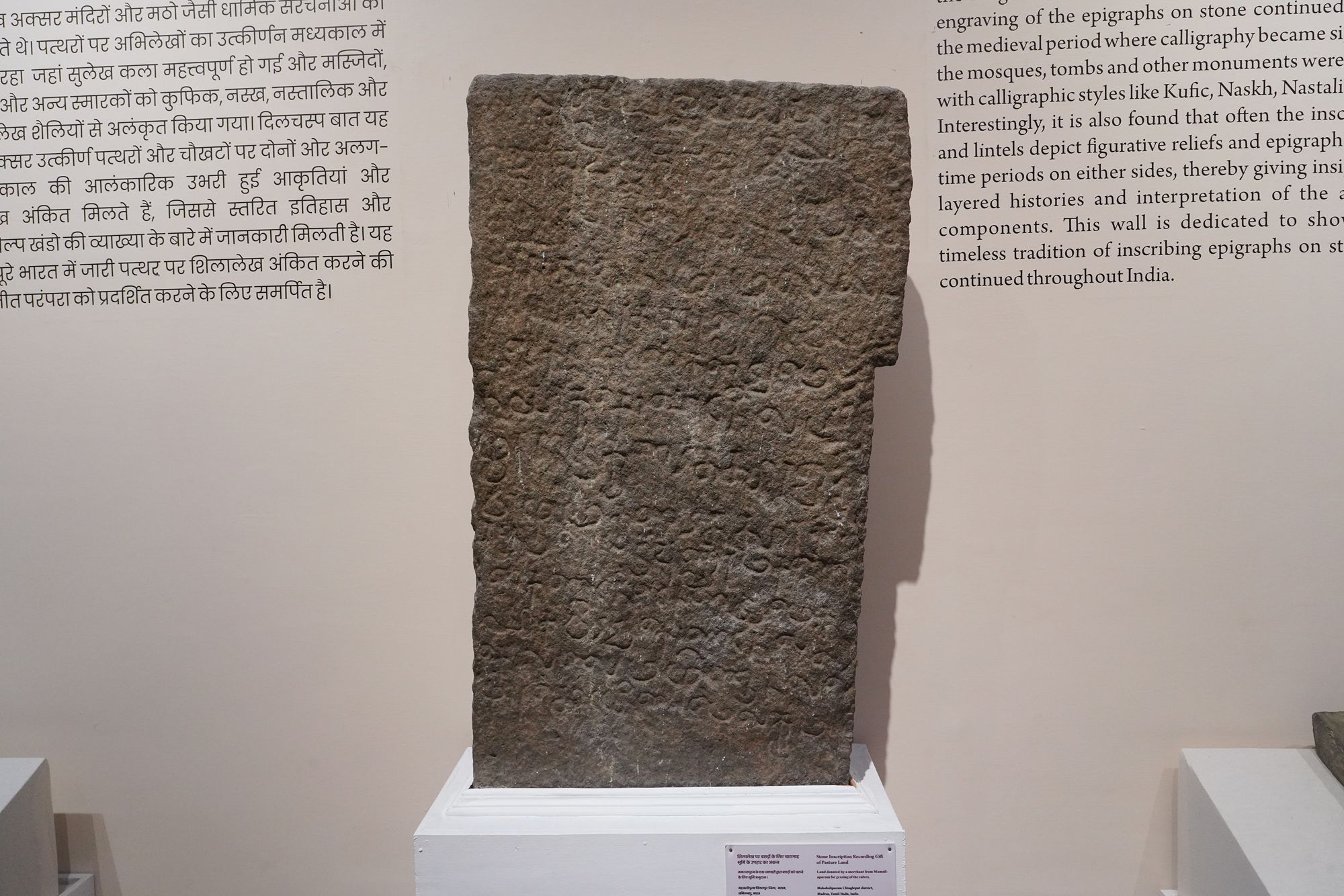 New Delhi – National Museum 2 (241) New Delhi – National Museum 2 (241)