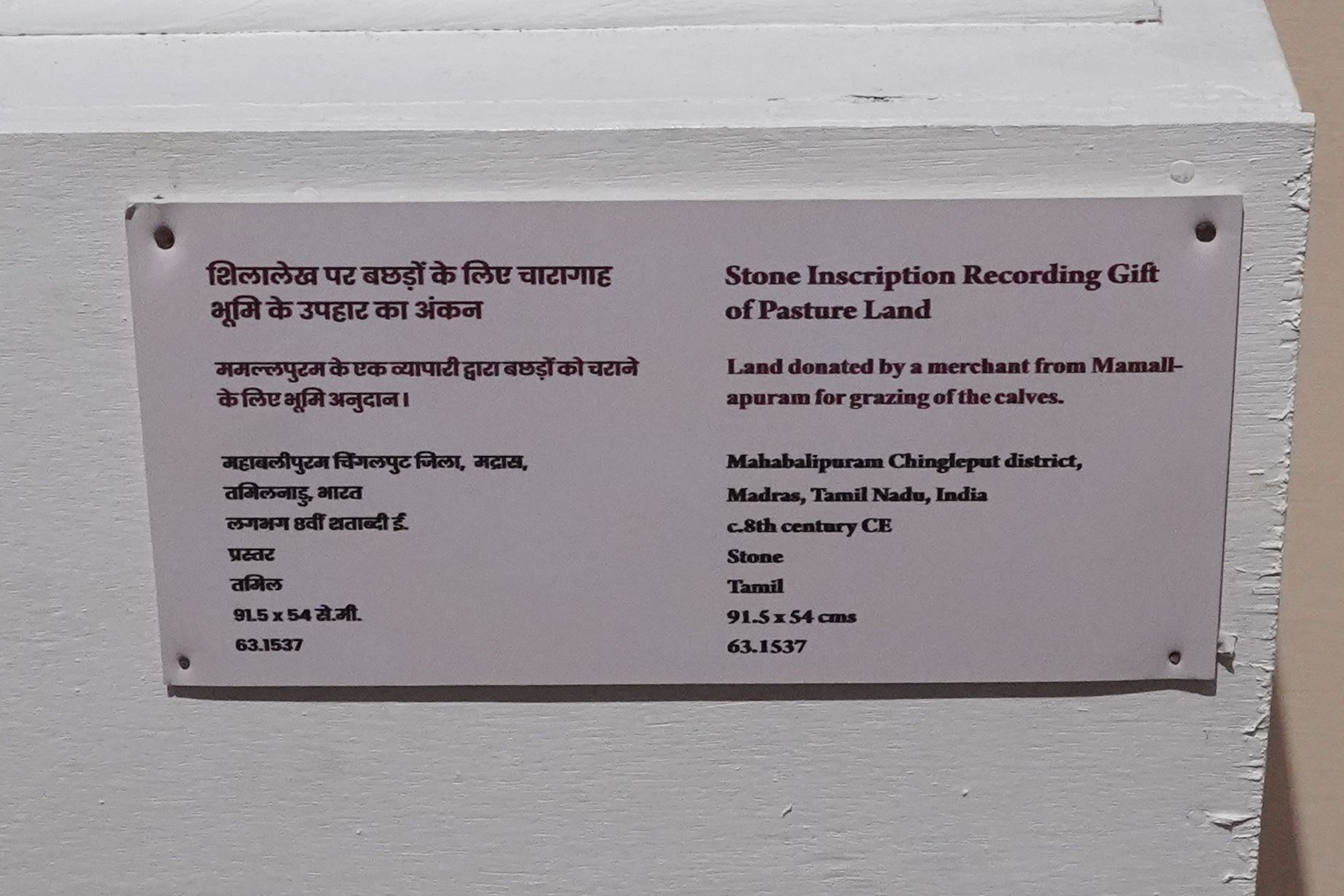 New Delhi – National Museum 2 (242) New Delhi – National Museum 2 (242)
