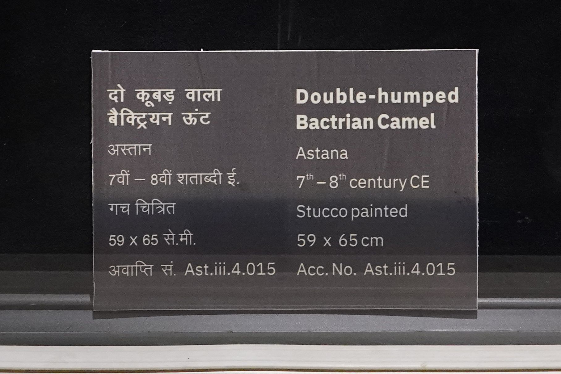 New Delhi – National Museum 2 (328) New Delhi – National Museum 2 (328)