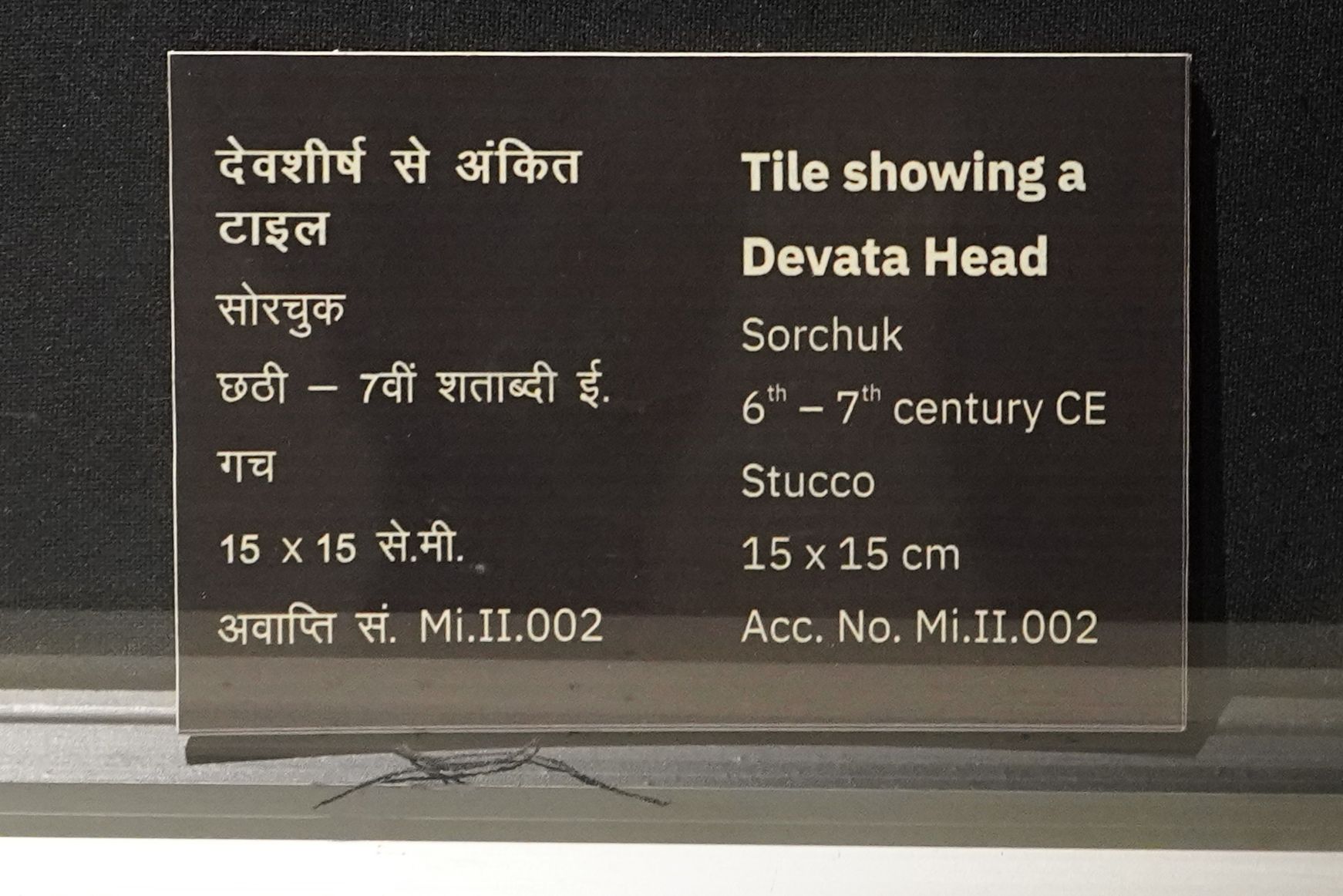 New Delhi – National Museum 2 (335) New Delhi – National Museum 2 (335)