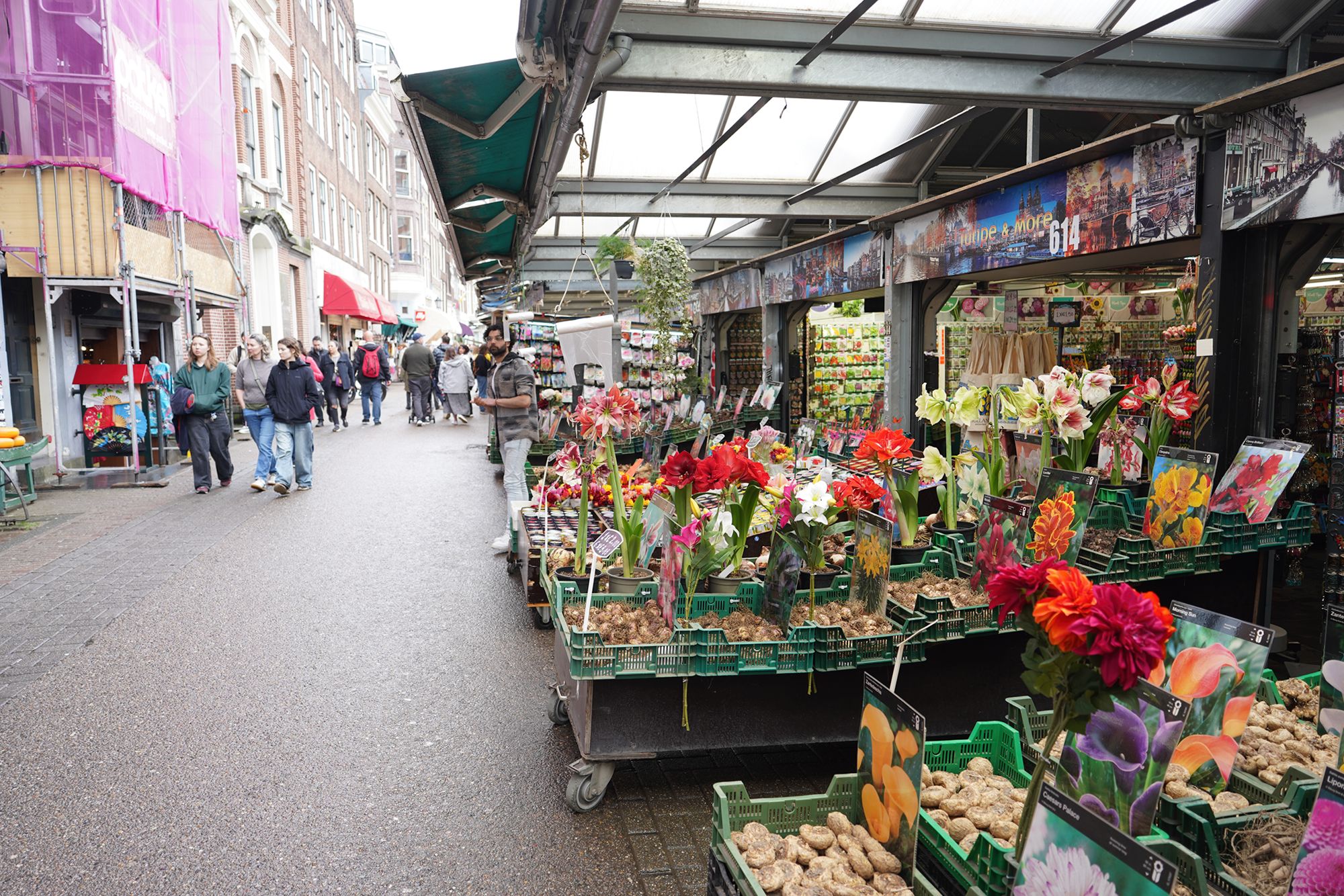 Amsterdam Walk (122) Amsterdam Walk (122)