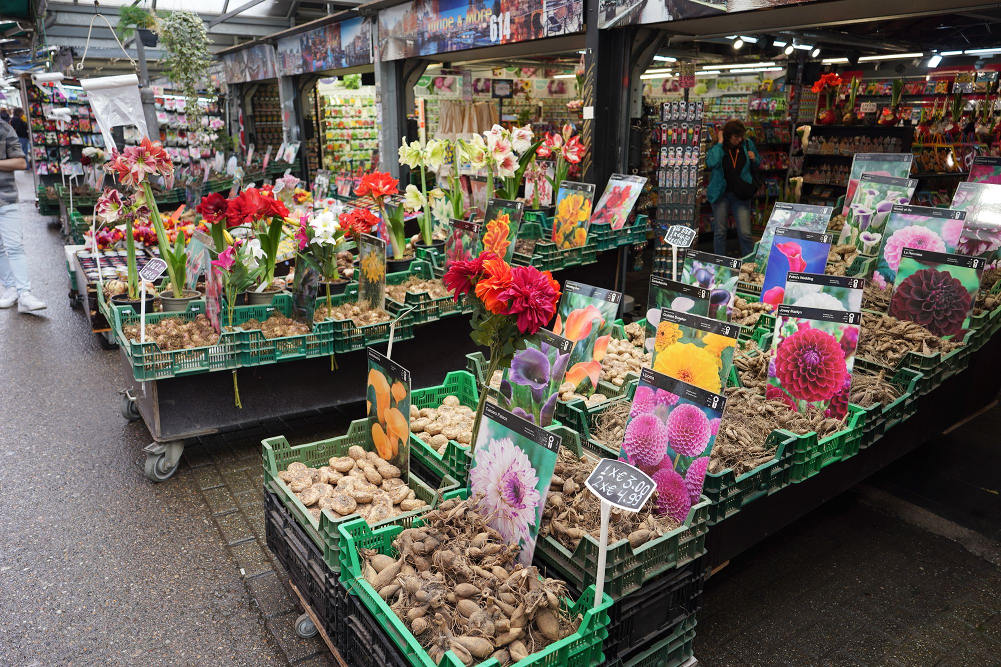 Amsterdam Walk (123) Amsterdam Walk (123)
