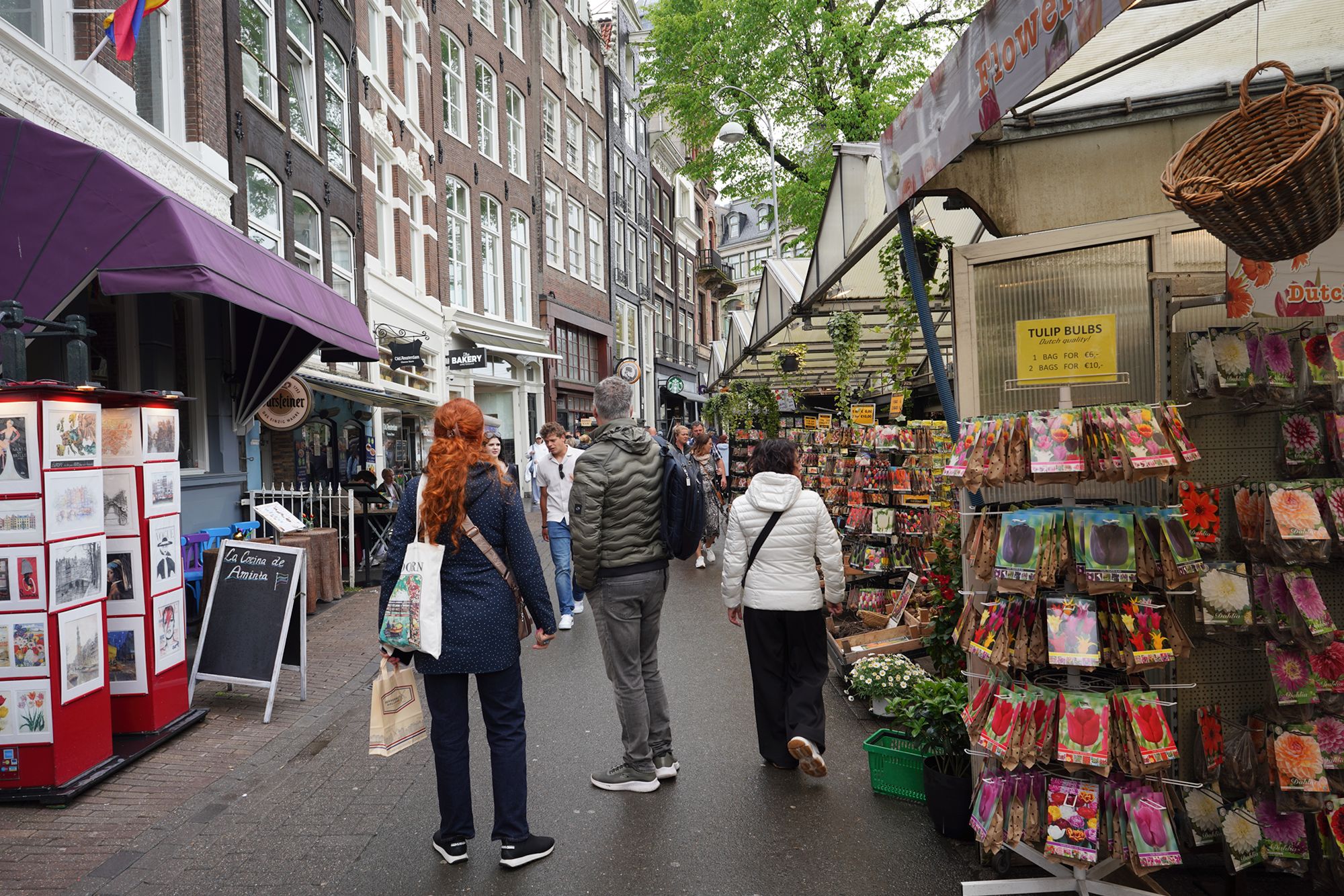Amsterdam Walk (126) Amsterdam Walk (126)