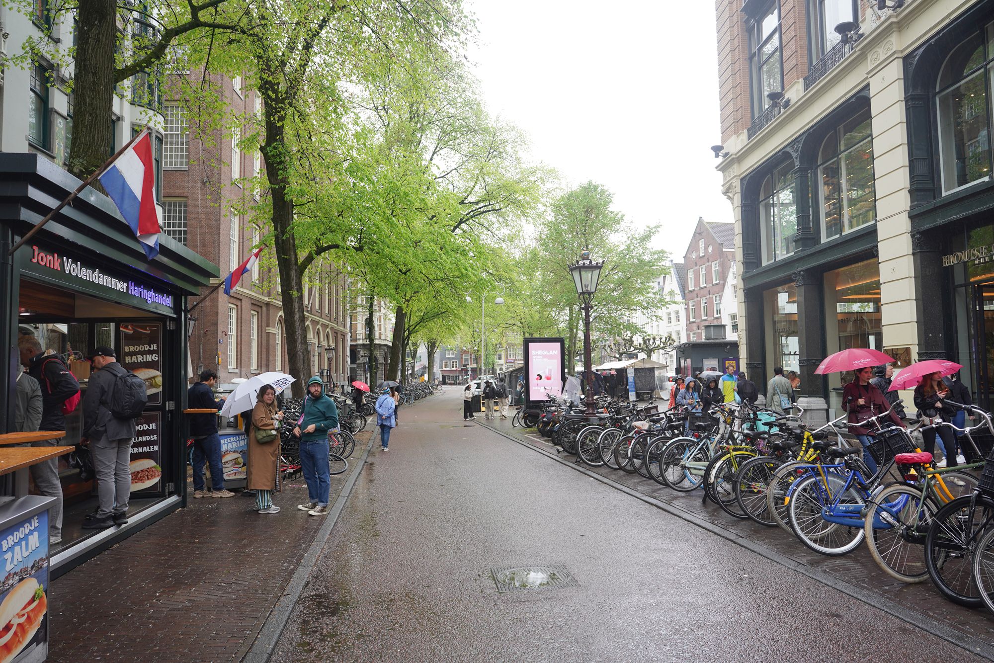 Amsterdam Walk (73) Amsterdam Walk (73)