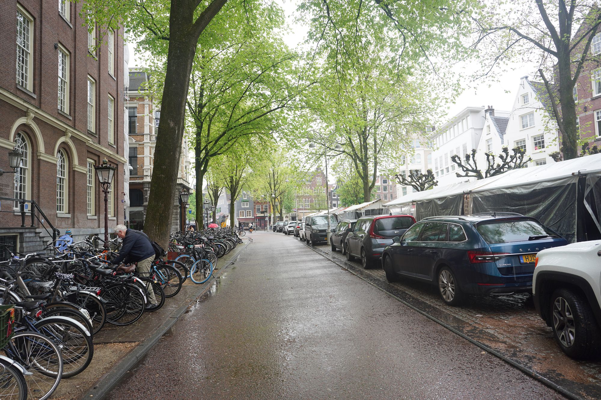 Amsterdam Walk (74) Amsterdam Walk (74)