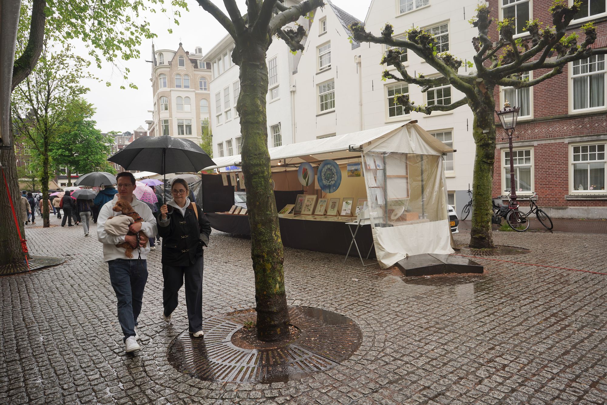 Amsterdam Walk (78) Amsterdam Walk (78)