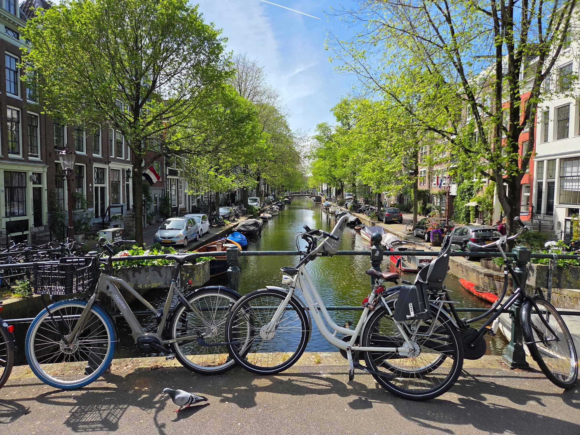 Anne Frank House (135)