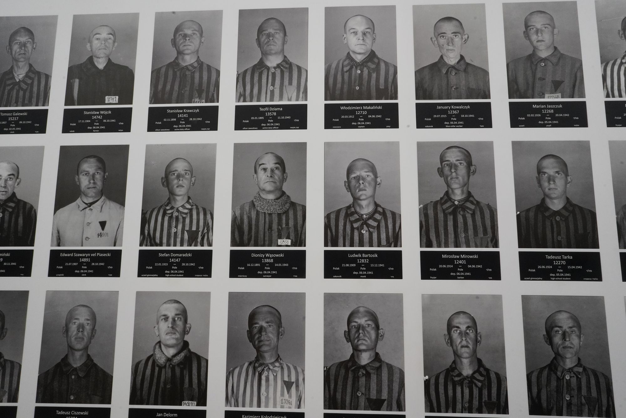 Auschwitz I Part 2 (65) Auschwitz I Part 2 (65)