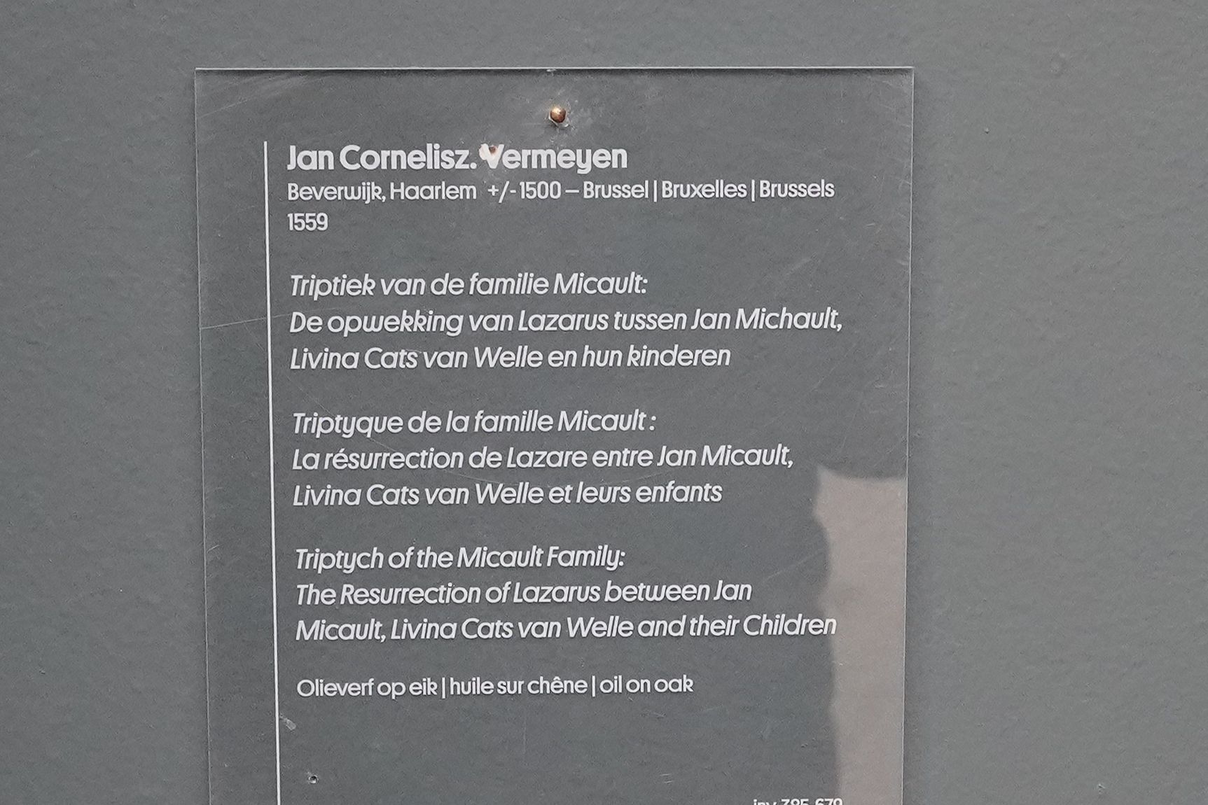 Belgium Royal Museums of Fine Arts (59)