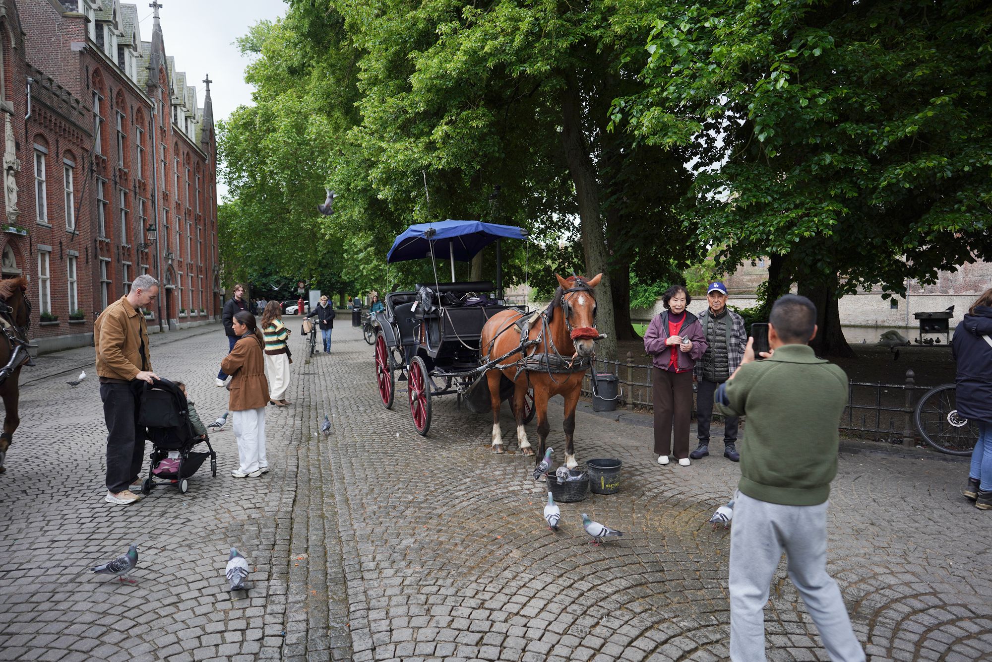 Bruge Walk II (15)