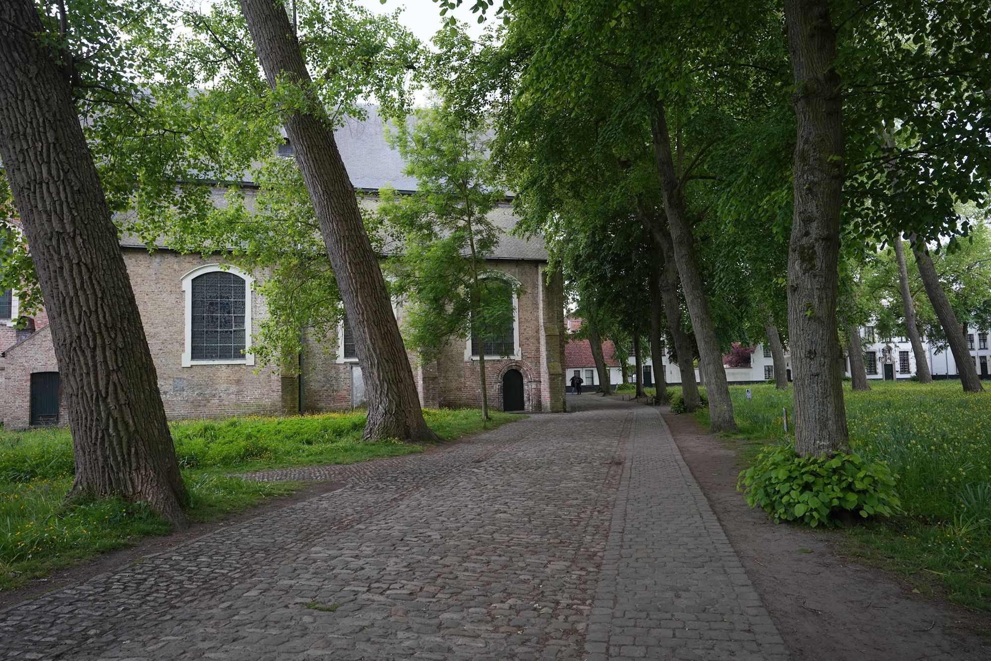 Bruge Walk II (23)