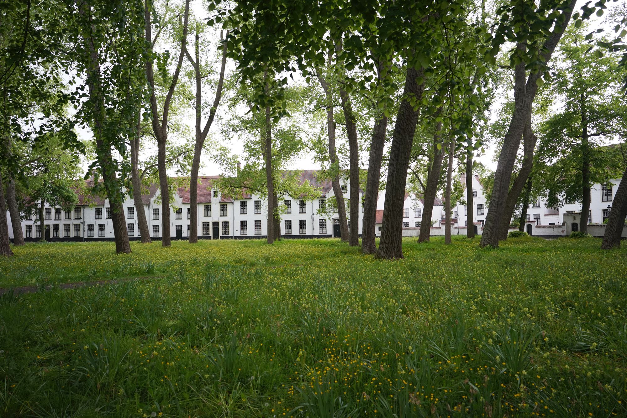 Bruge Walk II (25)