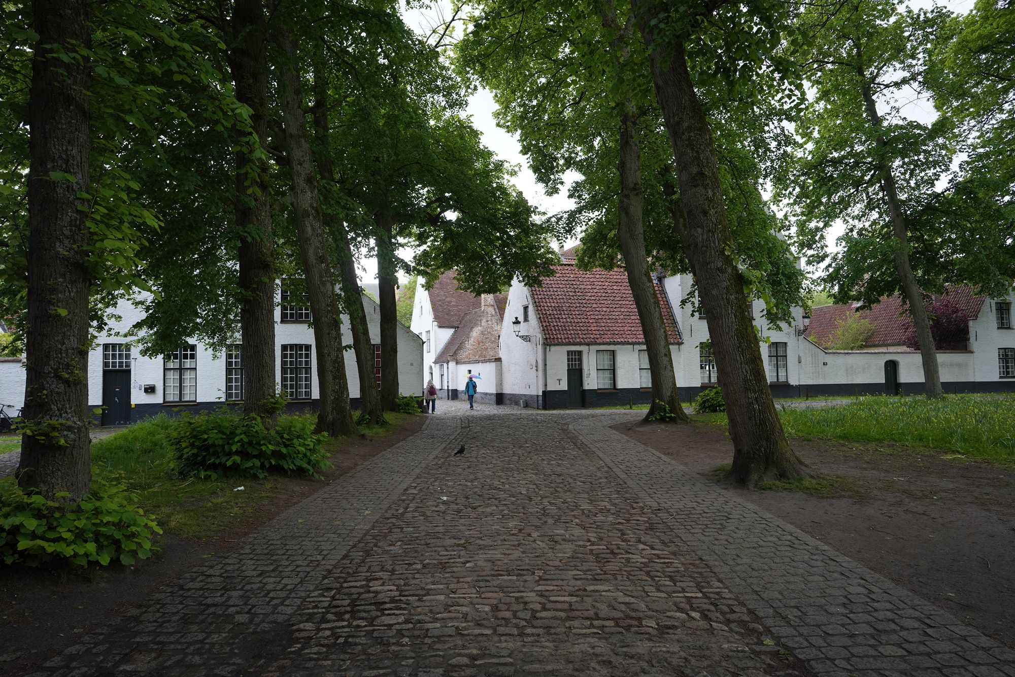 Bruge Walk II (30)