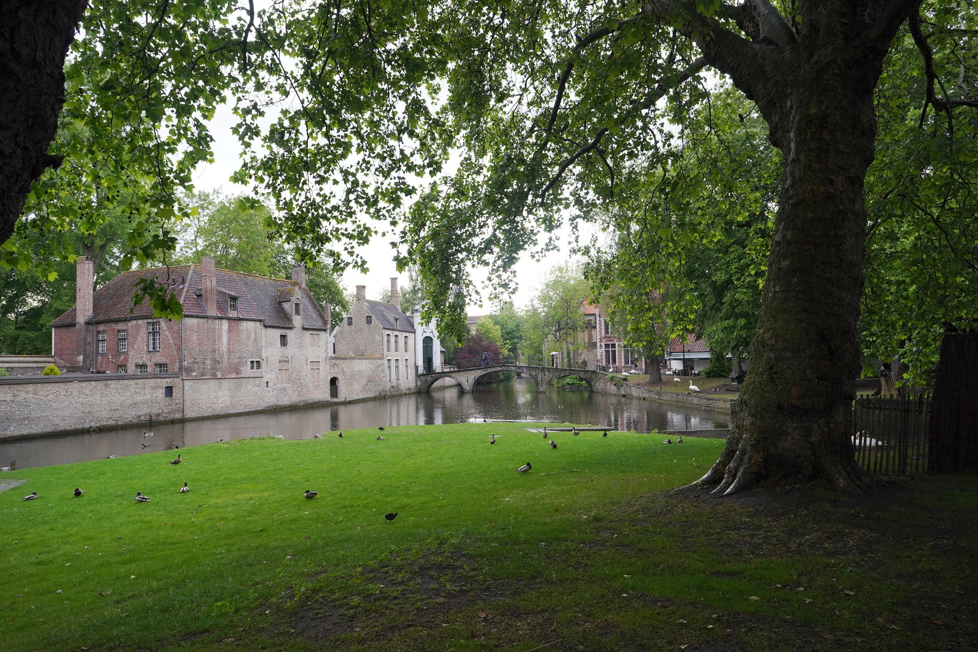 Bruges Walk II, Belgium