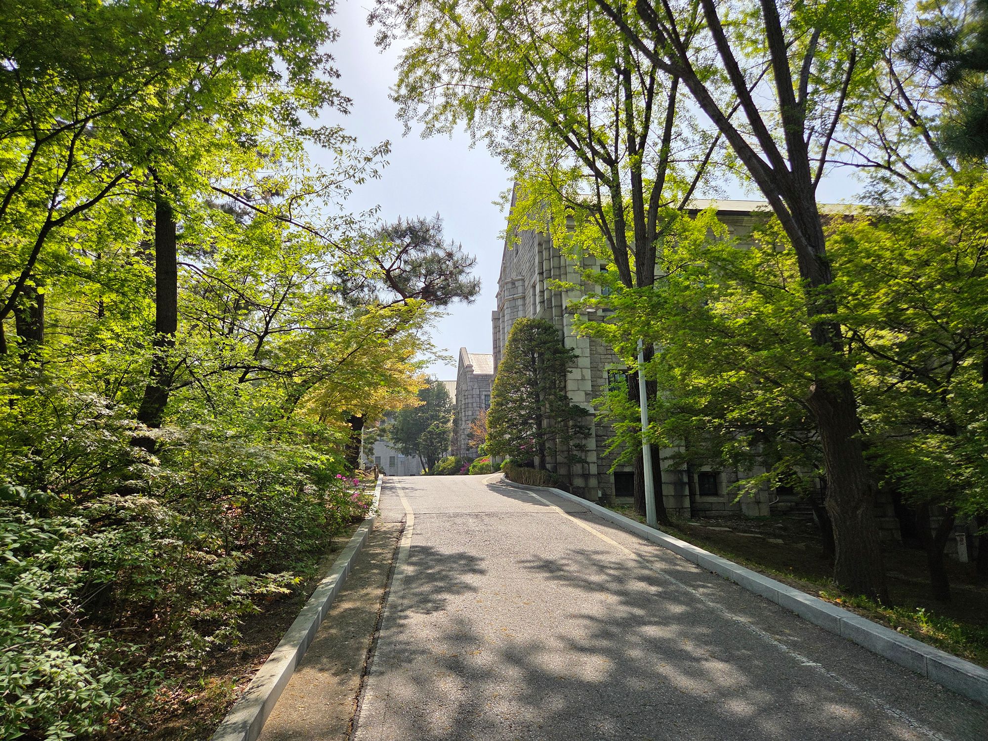 Ewha Womans University (24)