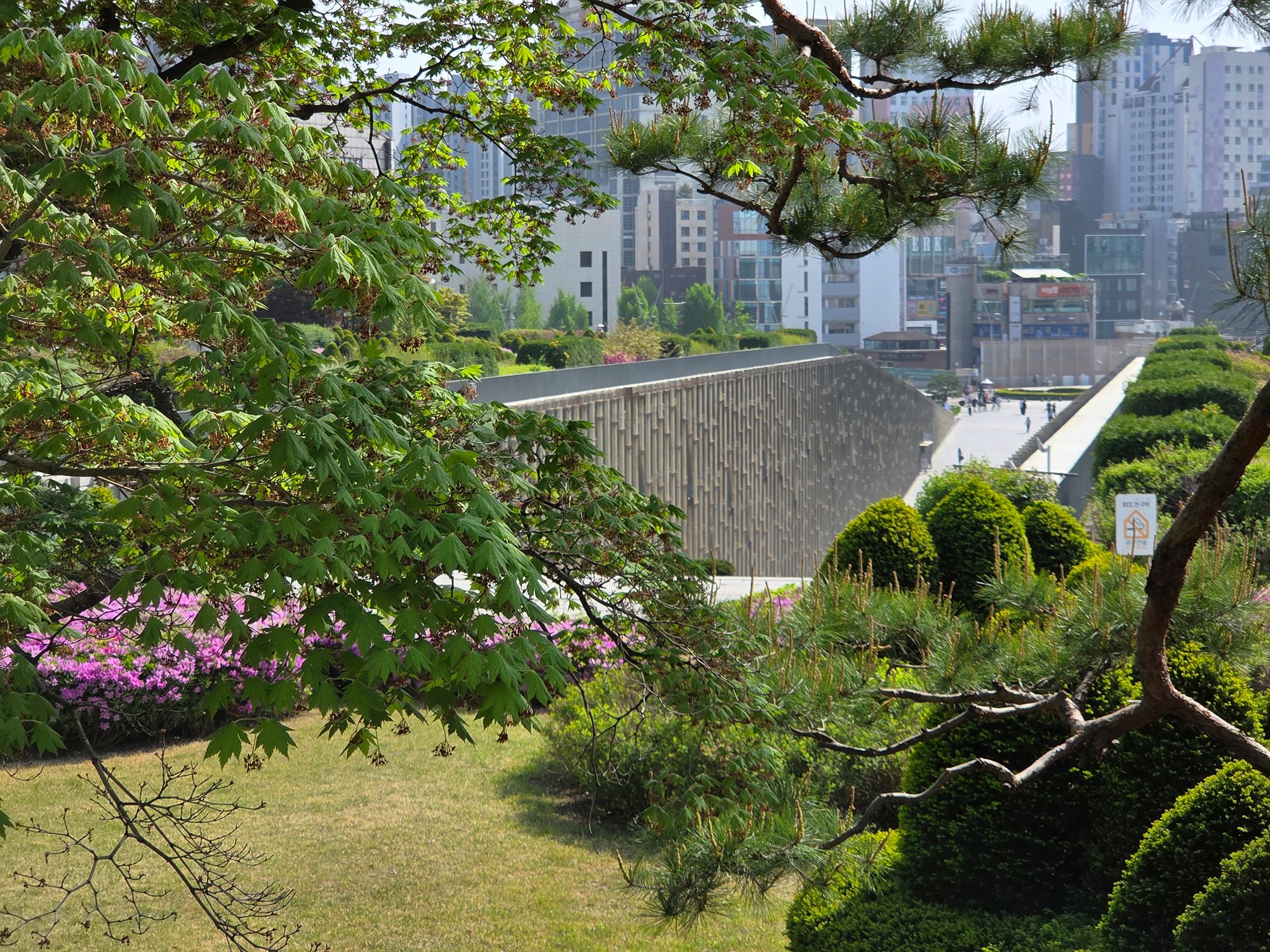 Ewha Womans University (32)