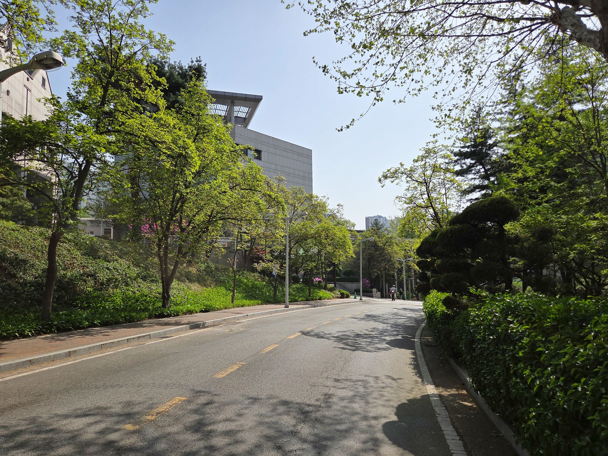 Ewha Womans University (35)