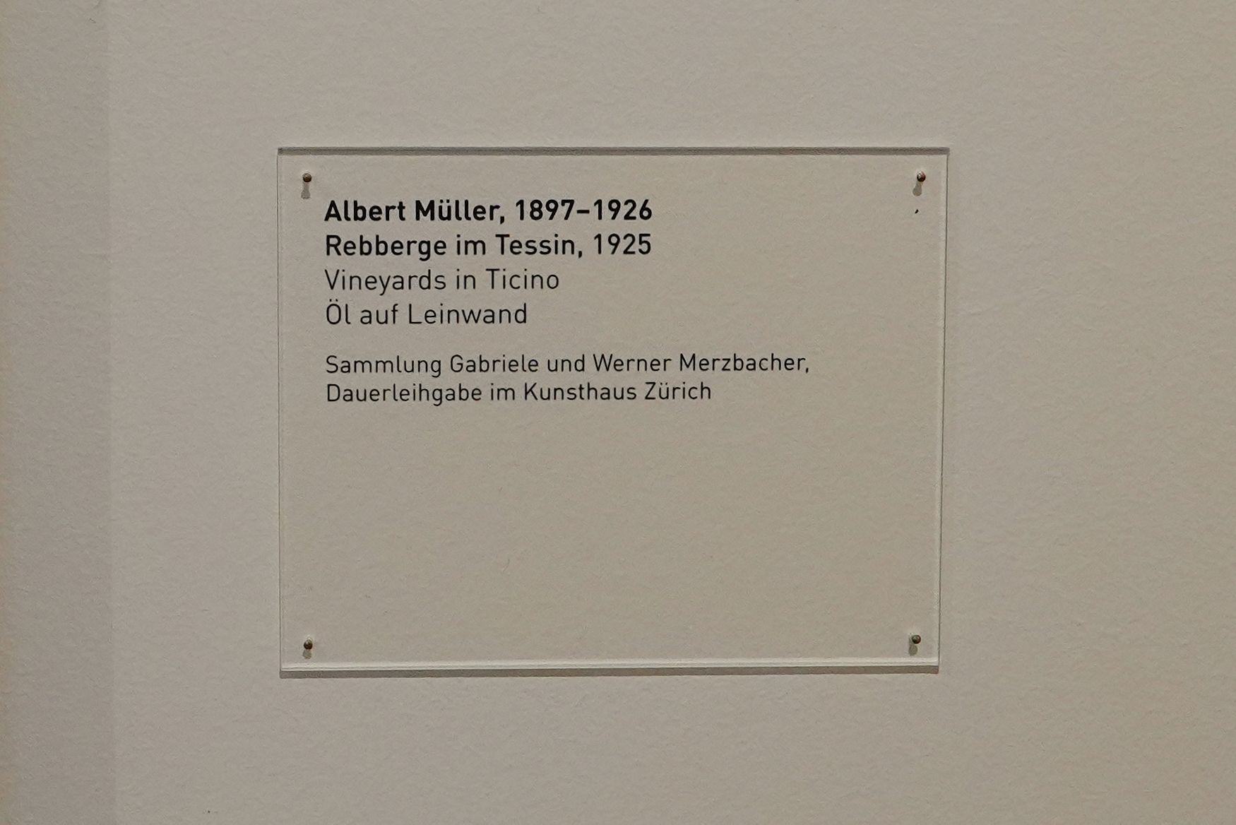 Kunsthaus Zürich III (51)