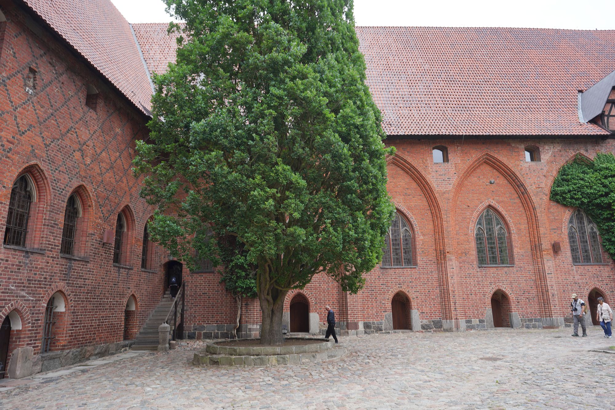 Malbork Castle I (50)