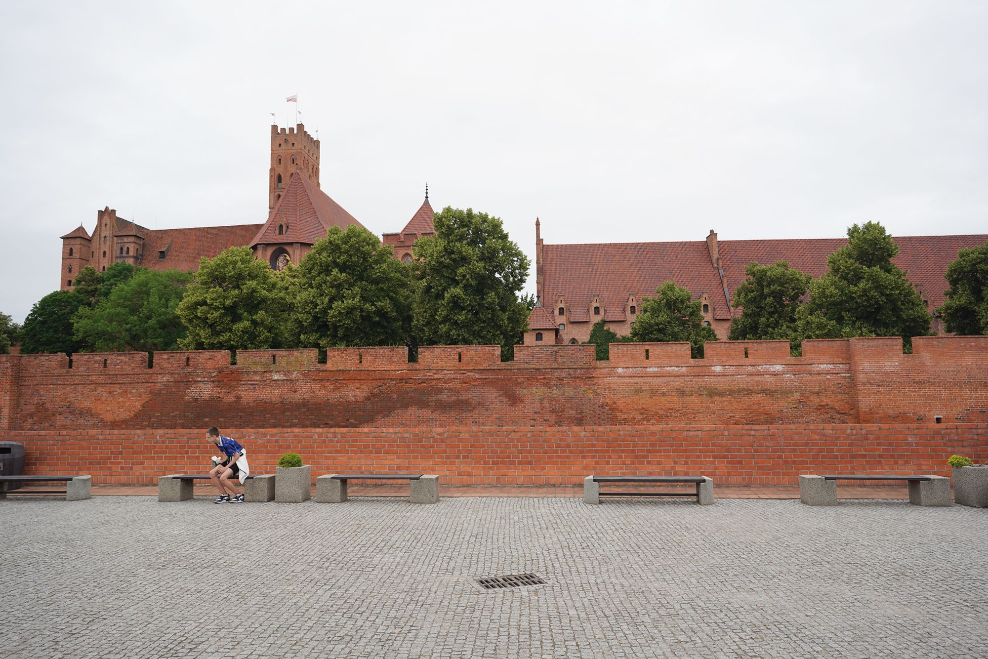 Malbork Castle II (147) Malbork Castle II (147)