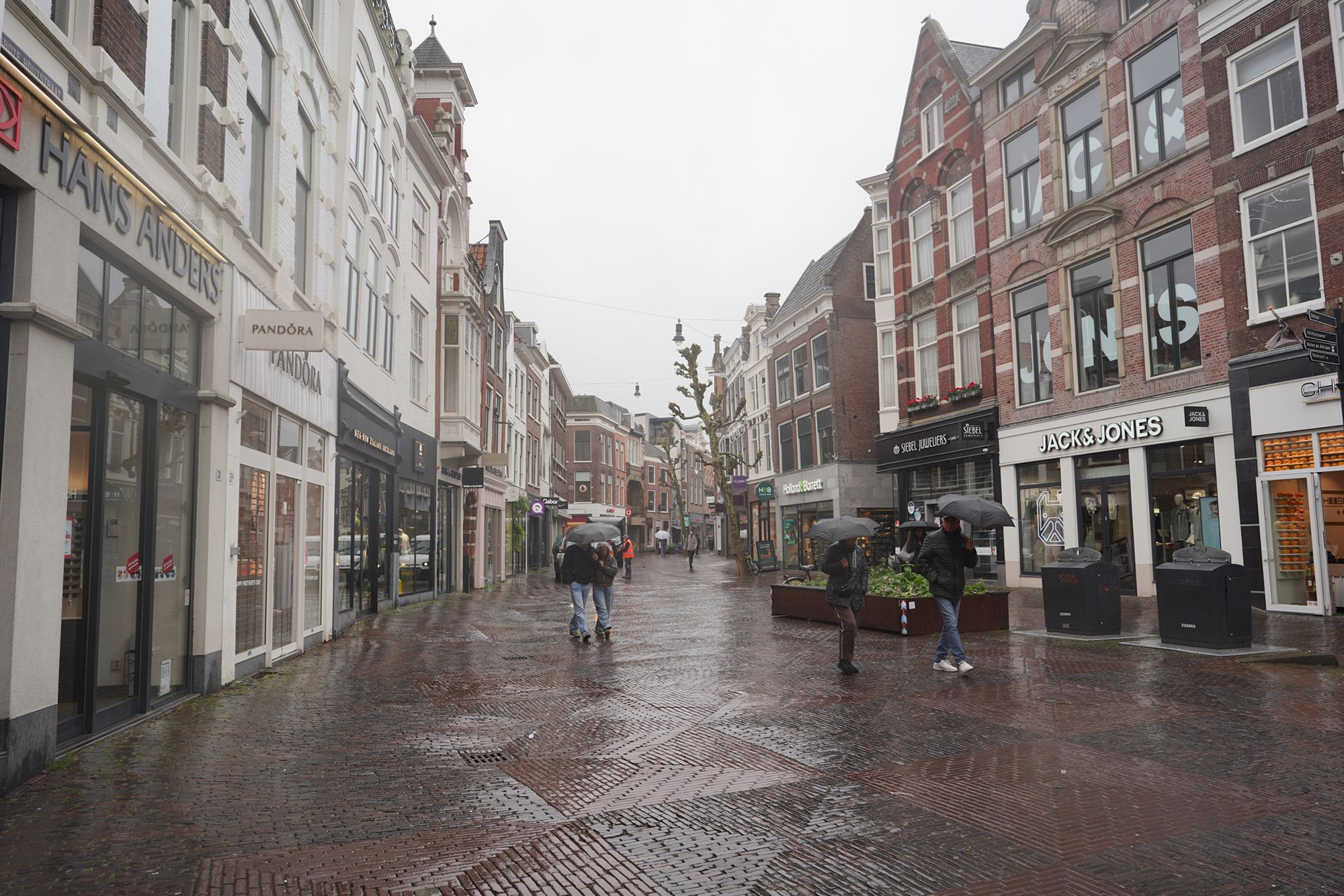 Netherland Rotterdam and Haarlem (111)