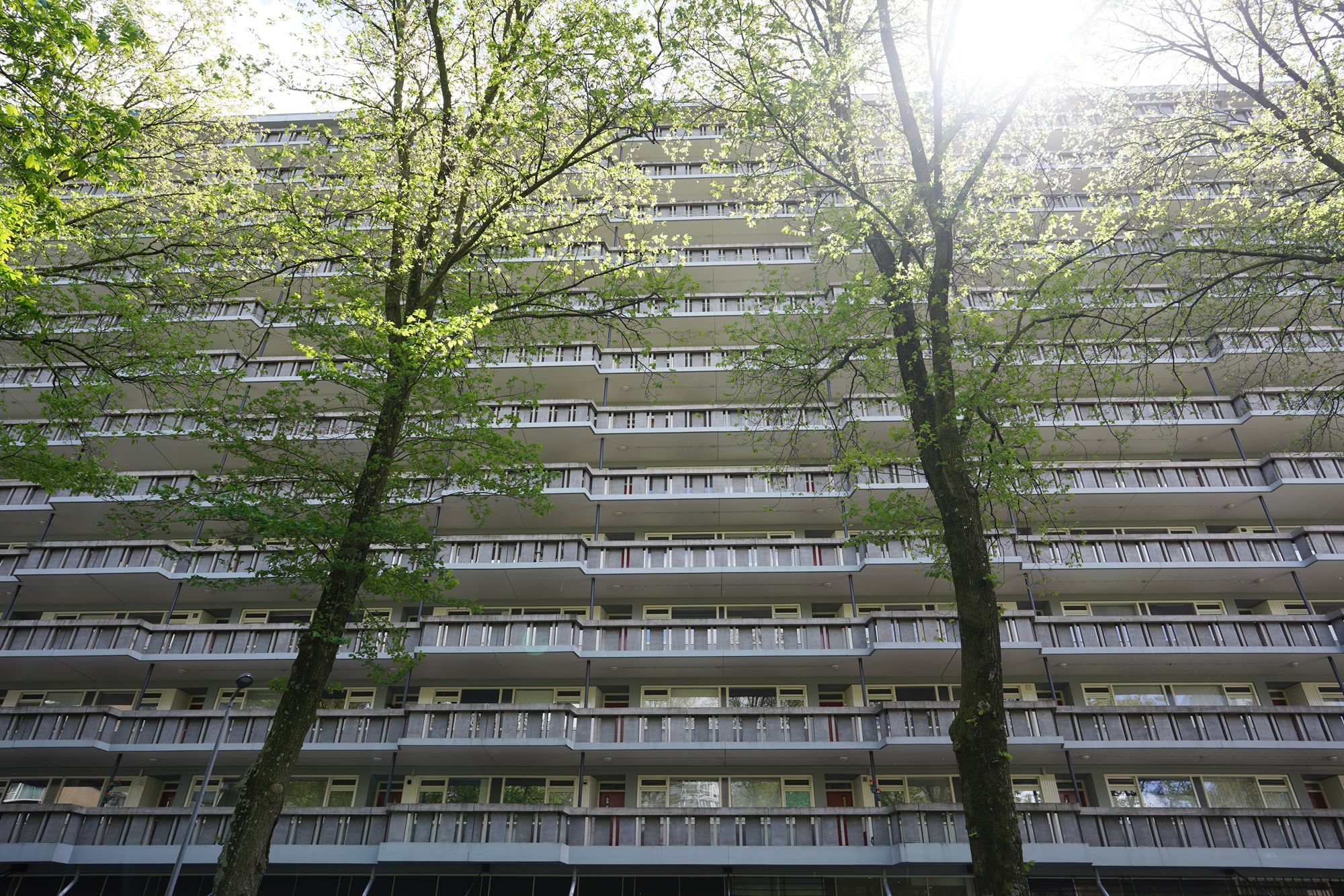 Netherland Rotterdam and Haarlem (21)