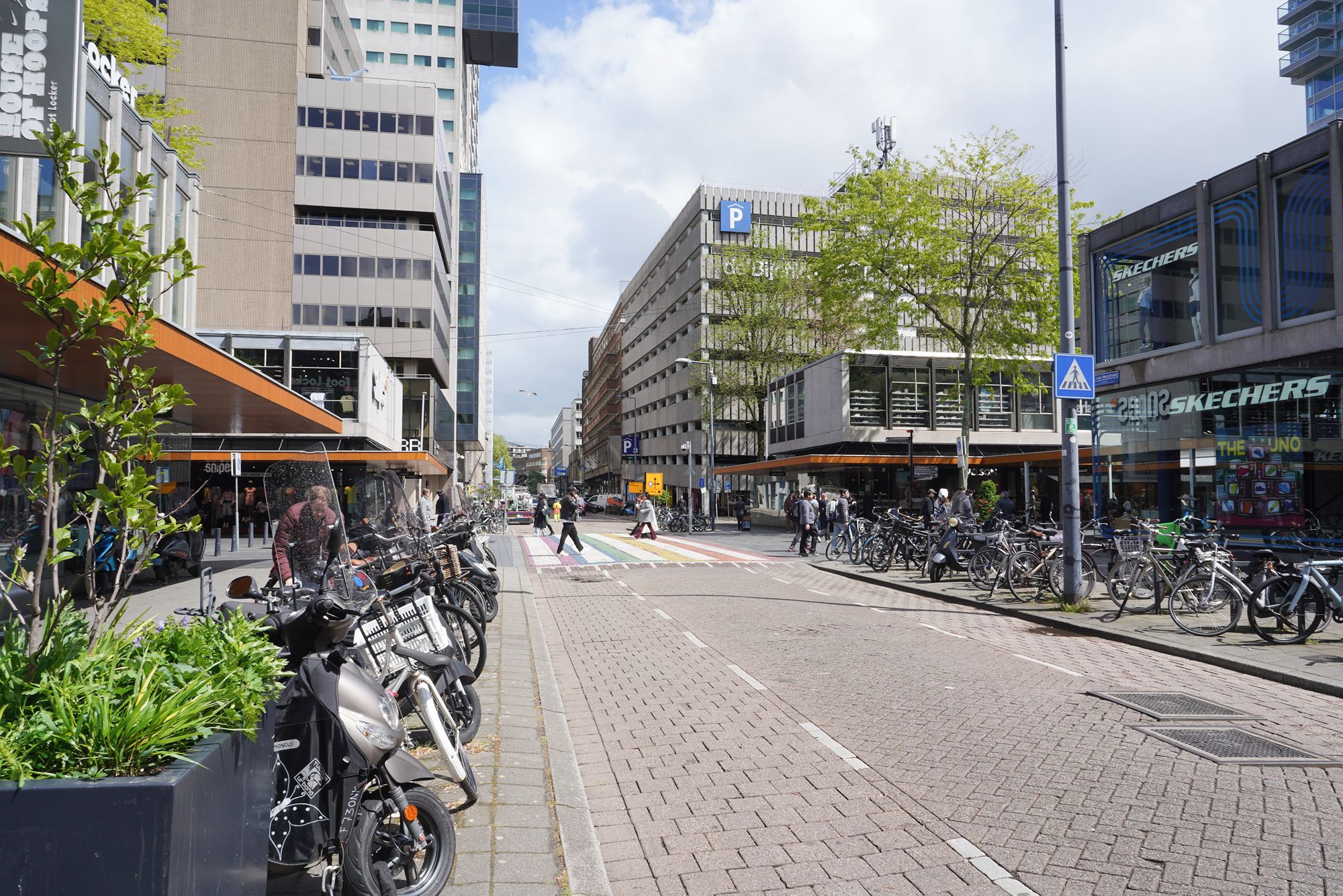 Netherland Rotterdam and Haarlem (22)