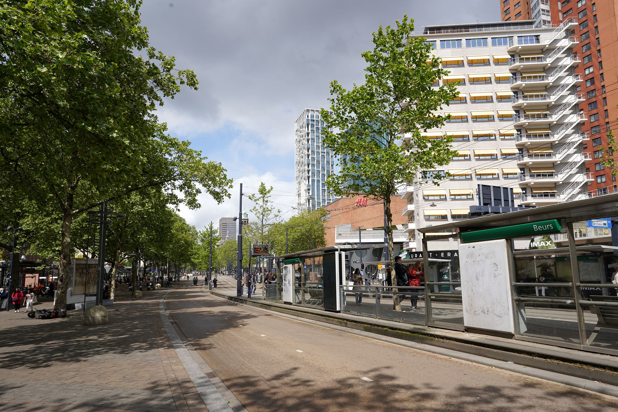 Netherland Rotterdam and Haarlem (34)