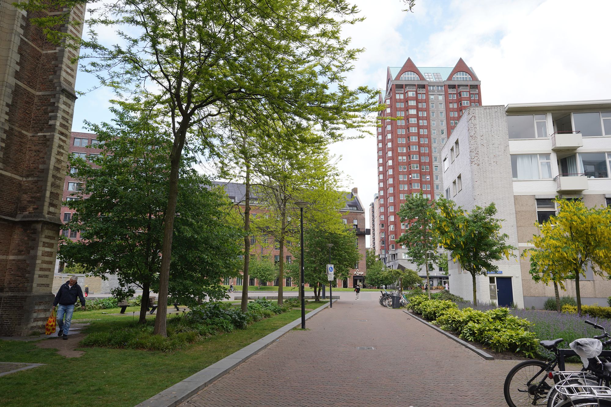 Netherland Rotterdam and Haarlem (47)