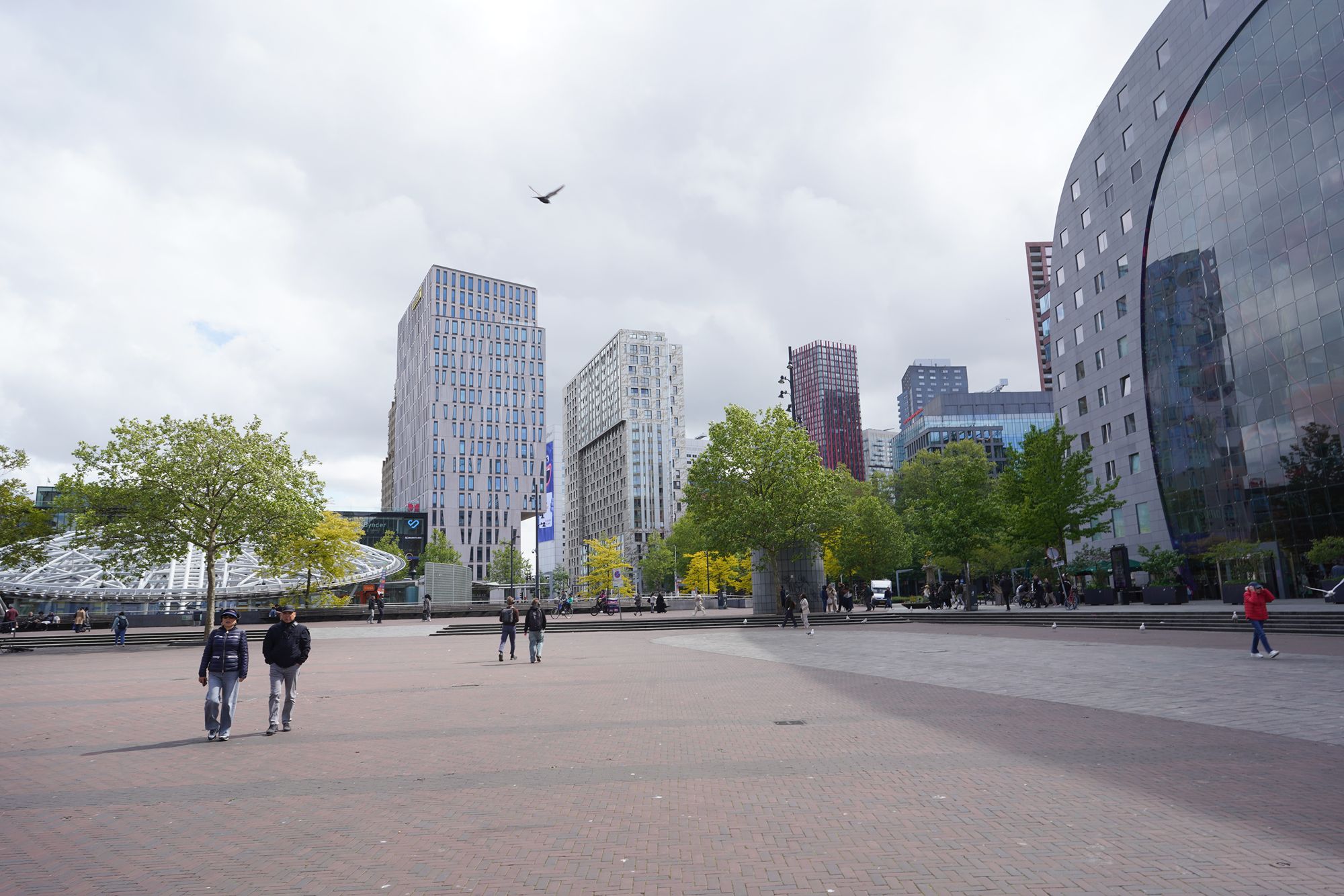Netherland Rotterdam and Haarlem (53)