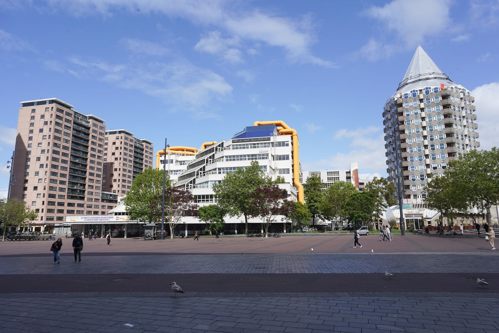 Netherland Rotterdam and Haarlem (55)