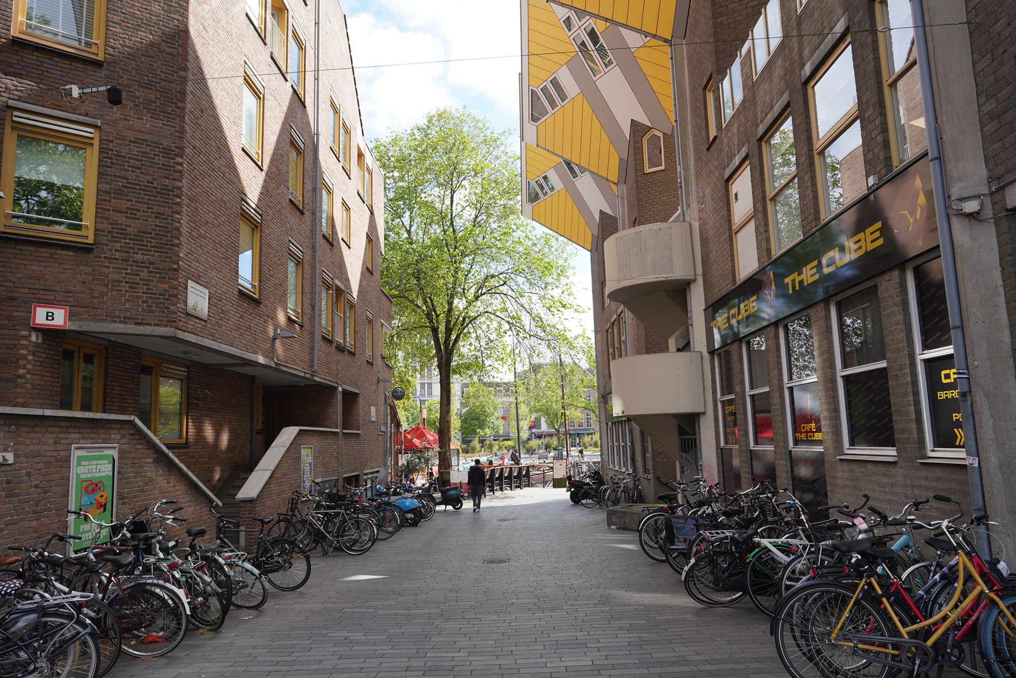 Netherland Rotterdam and Haarlem (74)